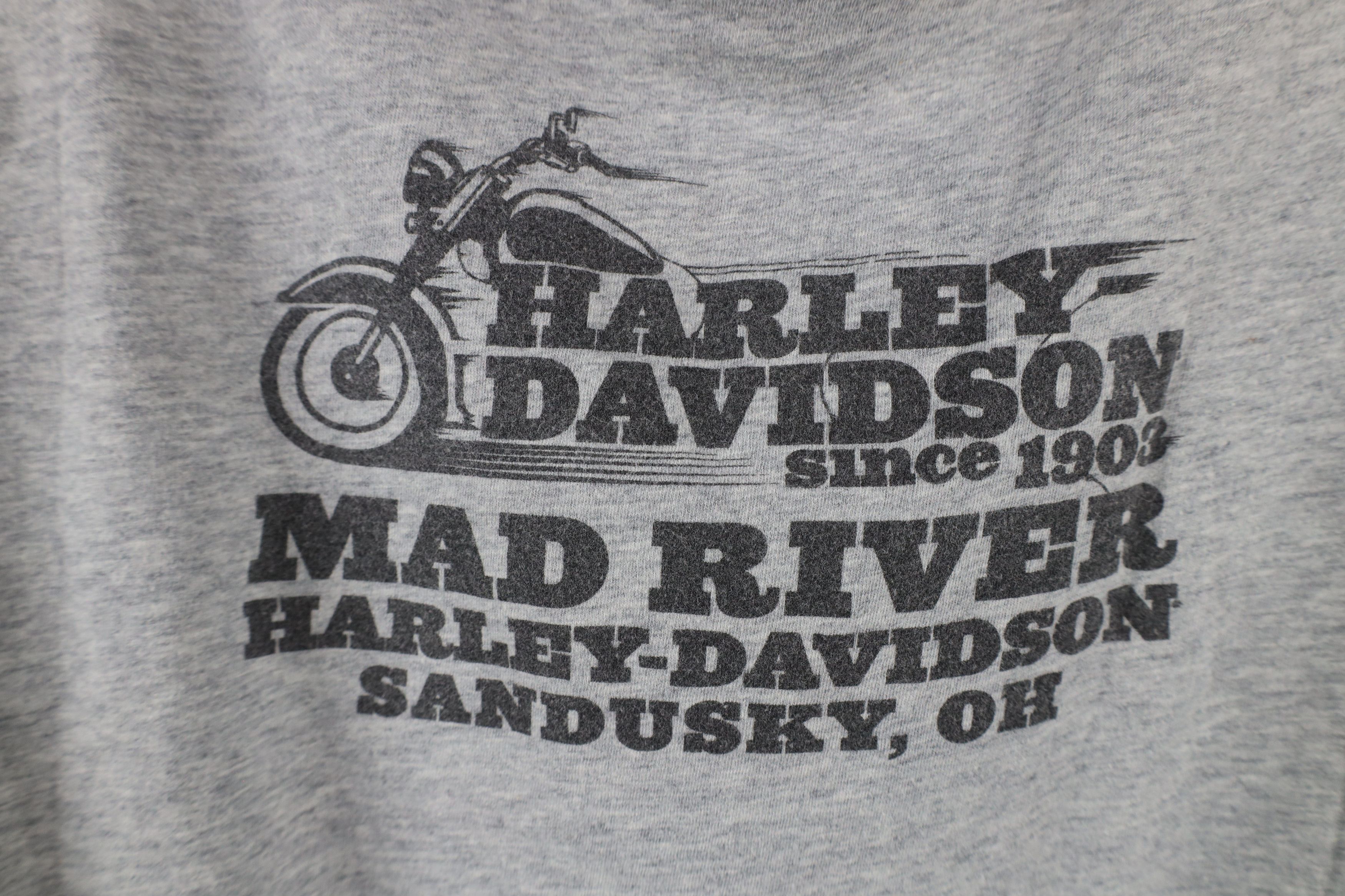 Harley Davidson × Vintage Y2K Harley Davidson Spell Eagle Lightning Bolt T-Shirt Gray Size L / US 10 / IT 46 - 10 Thumbnail
