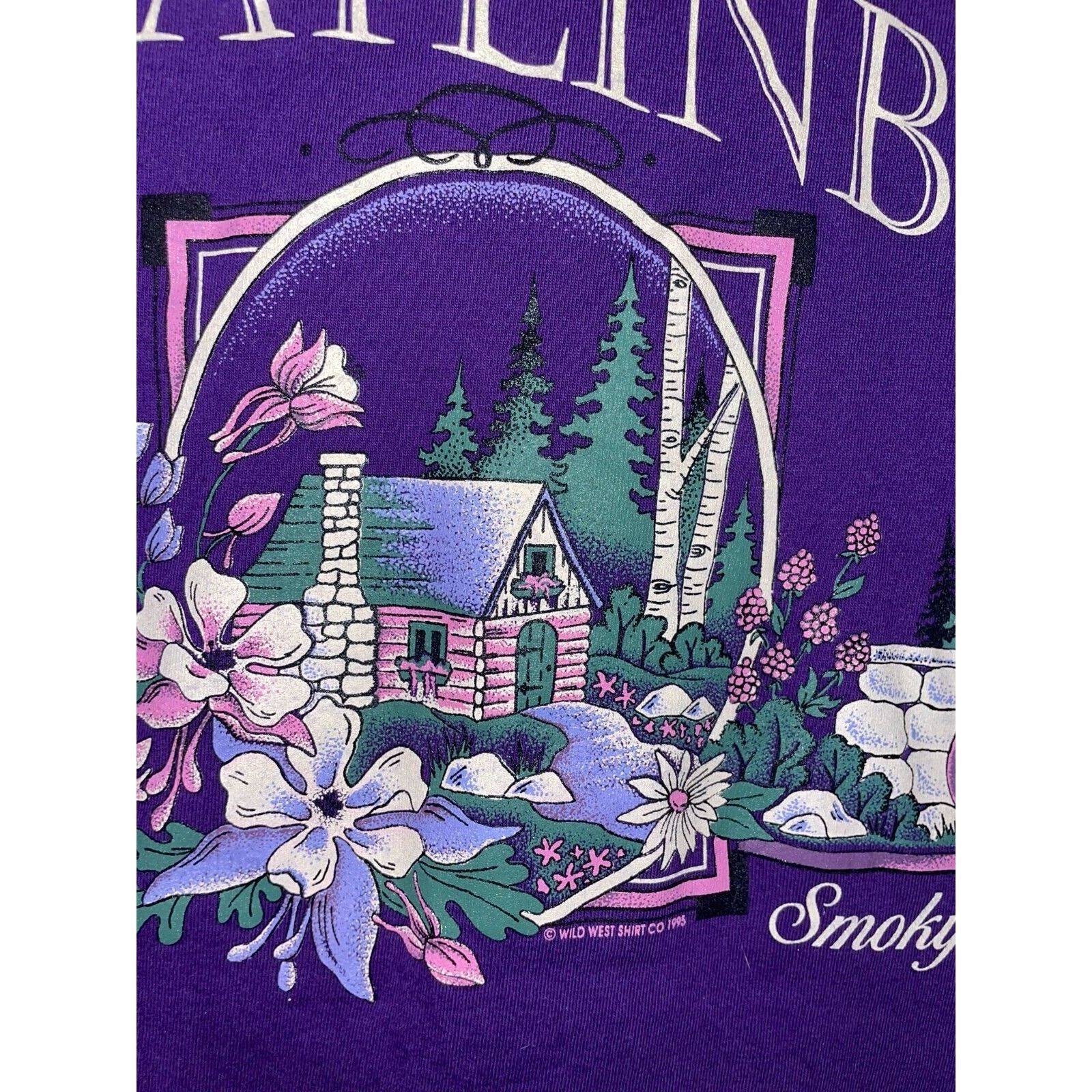 Jerzees 90s Vintage Jerzees Gatlinburg Smoky Mountains Shirt VTG L Size US L / EU 52-54 / 3 - 3 Thumbnail