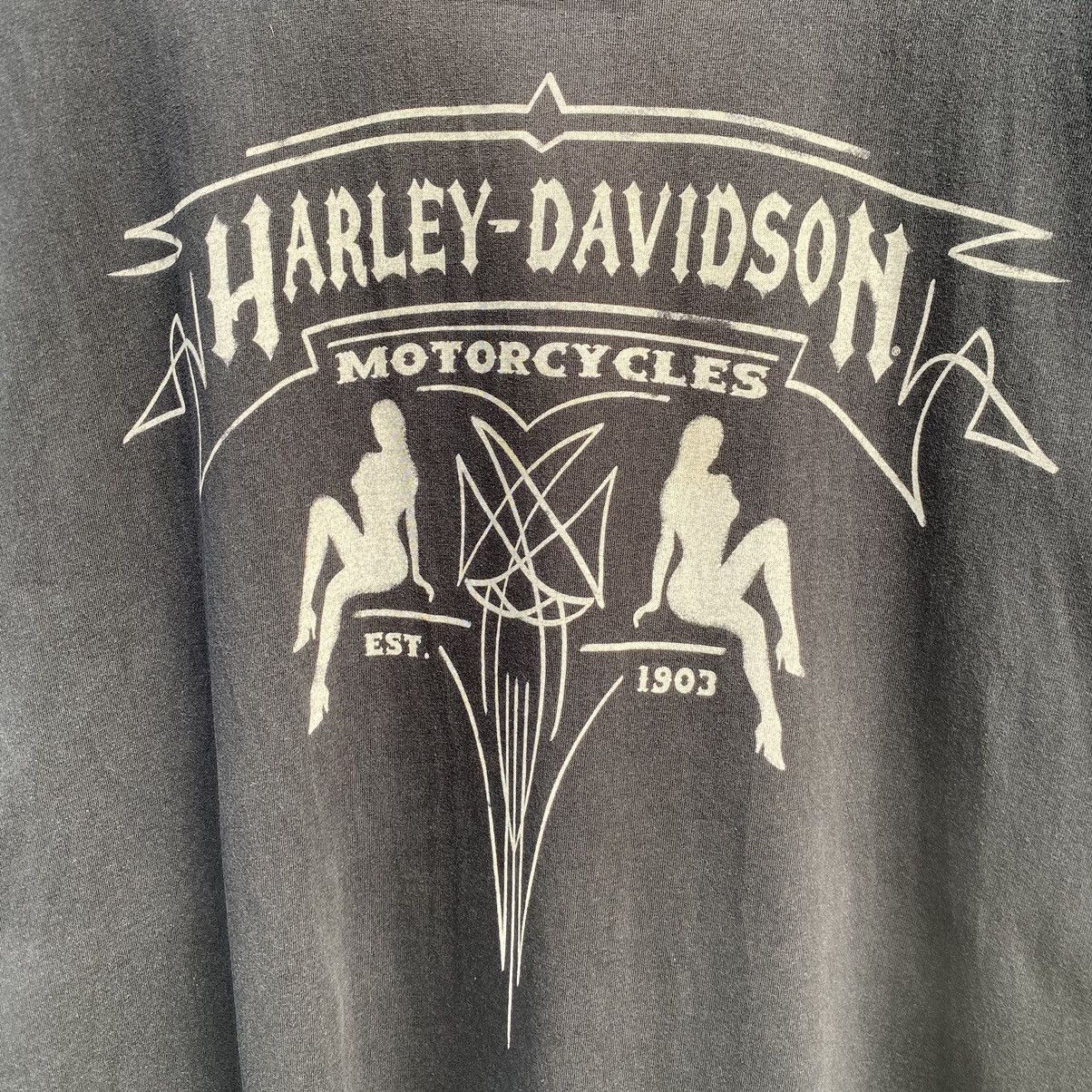 Harley Davidson Thrashed Faded Vintage Y2K Harley Davidson ERD GRUNGE TEE Size US XXL / EU 58 / 5 - 3 Thumbnail