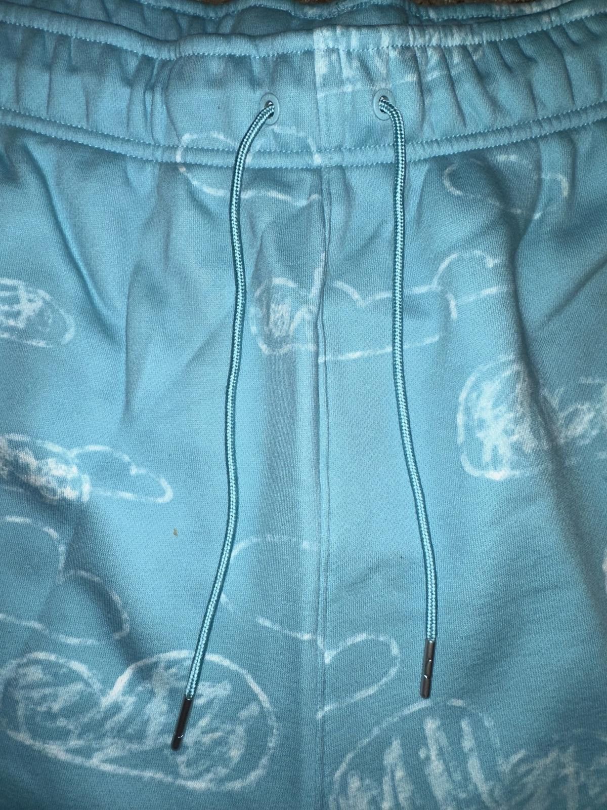 Jordan Brand Jordan "Artist Series by Parker Duncan Fleece Short" W - Bleached Aqua Size 42" / US 20 - 5 Thumbnail