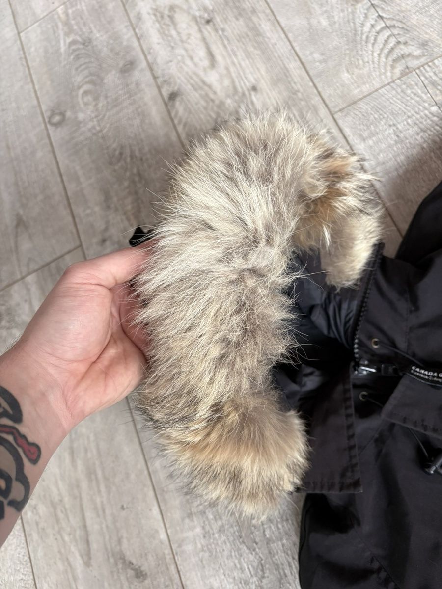 Canada Goose Canada Goose Mens Chilliwack Bomber Jacket Medium Genuine Size US M / EU 48-50 / 2 - 3 Thumbnail