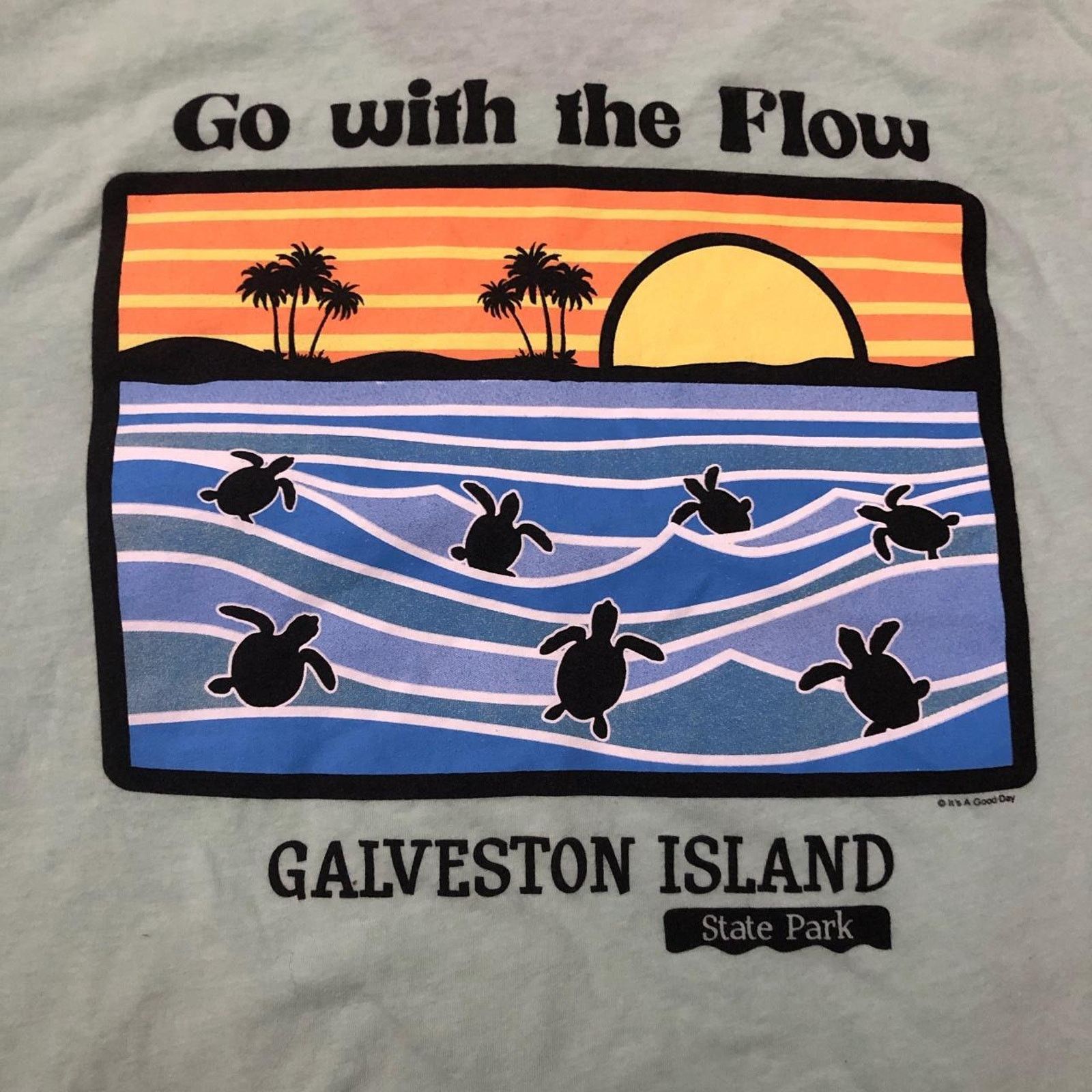 Next Level Mint Green Galveston Island ‘Go With The Flow’ Graphic Tee Size US L / EU 52-54 / 3 - 3 Thumbnail