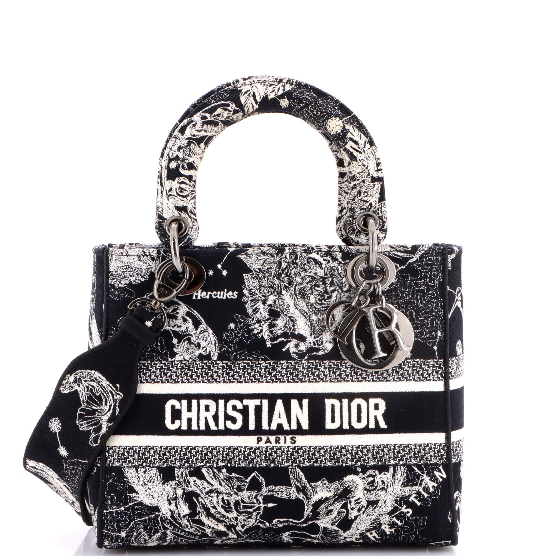 Dior Lady D-Lite Bag Size ONE SIZE - 1 Thumbnail