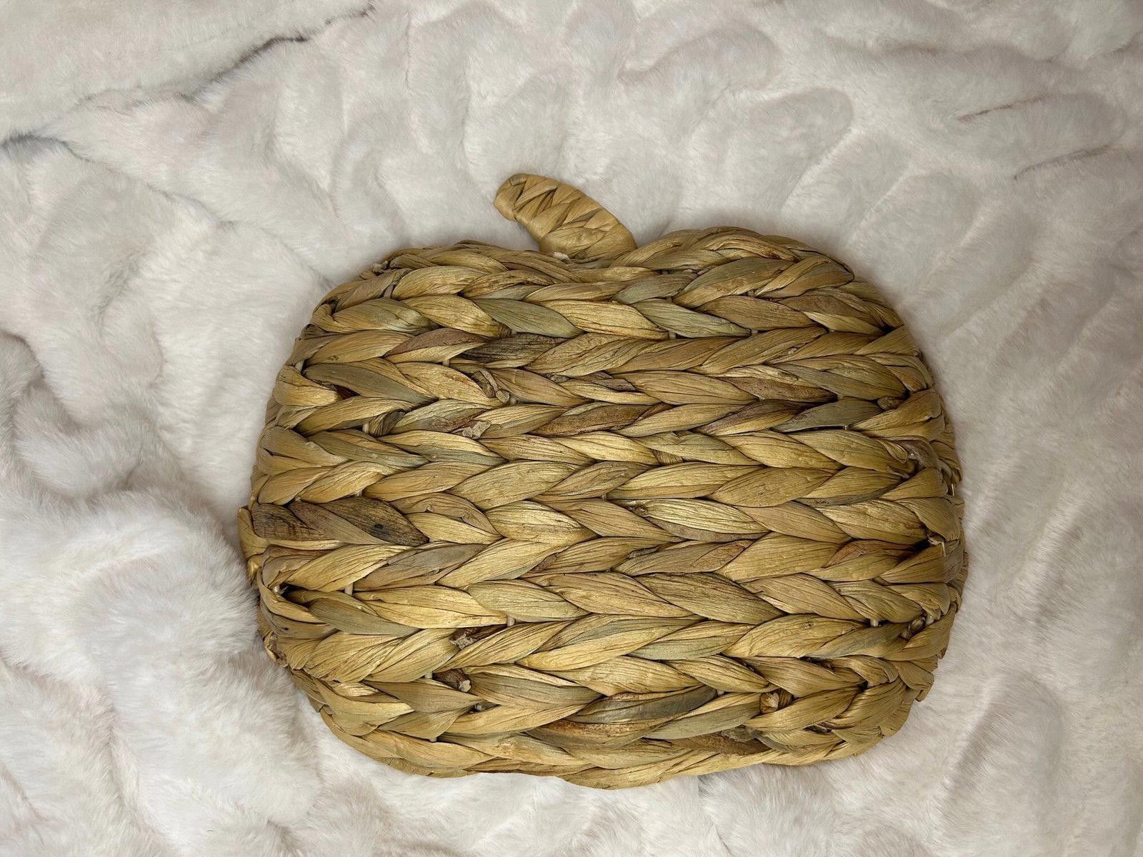Designer Wicker Rattan Woven Pumpkin Tray by Way To Celebrate Size ONE SIZE - 6 Thumbnail