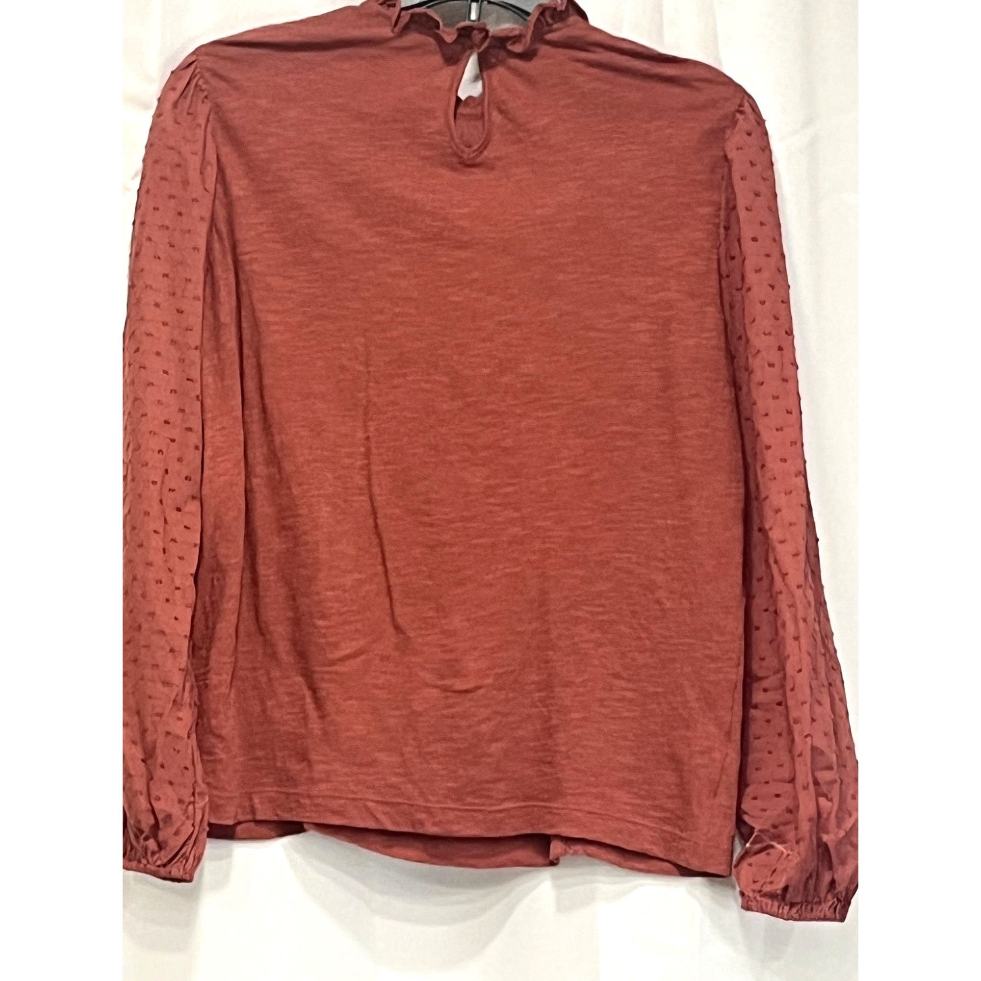 Other Caslon Pintuck Lace Detail Long Sleeve Cotton Blouse, Brown Size XS / US 0-2 / IT 36-38 - 11 Thumbnail