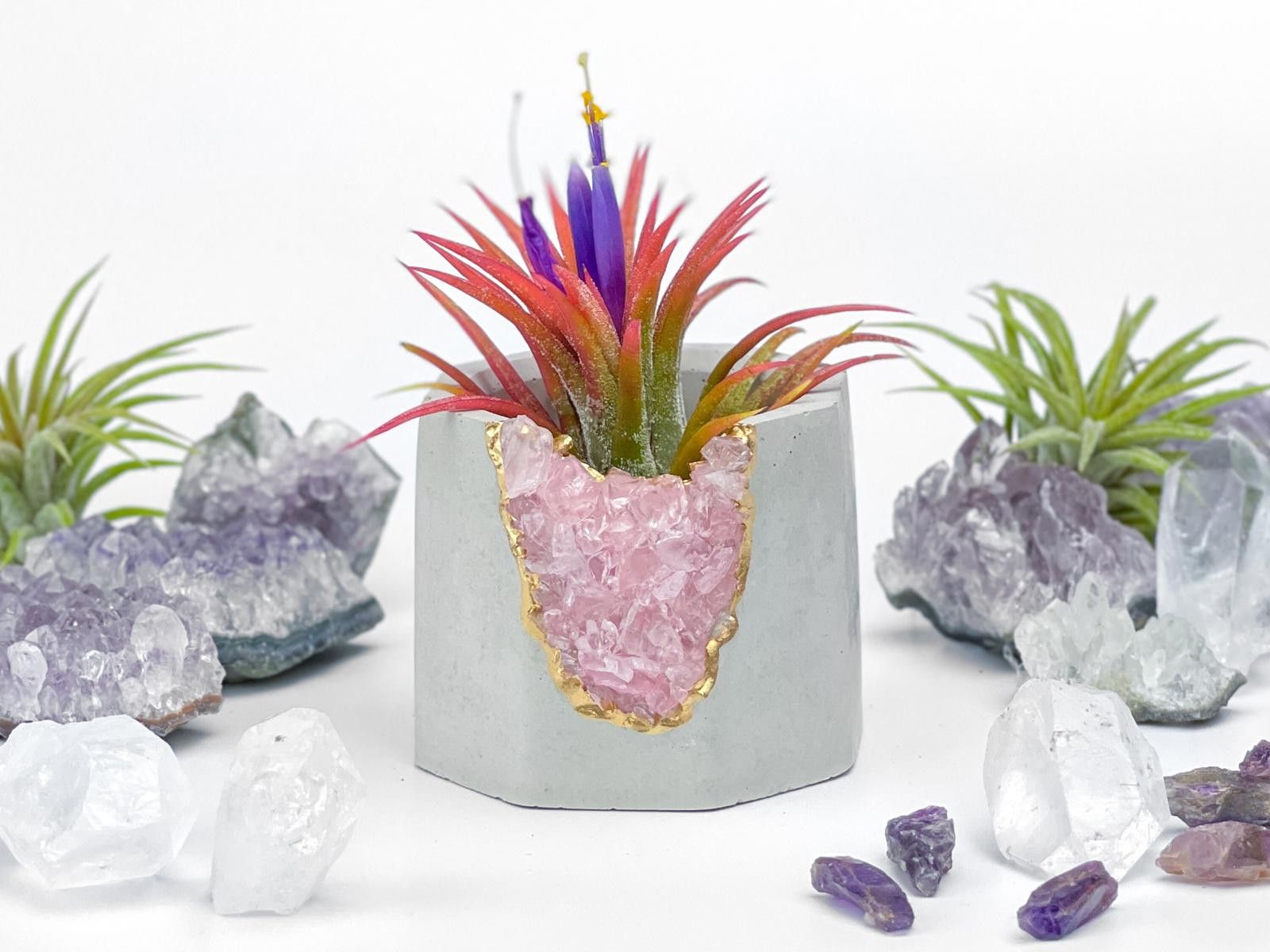 Other Rose Quartz Crystal Planter Concrete Geode Air Plant Holder Size ONE SIZE - 5 Thumbnail