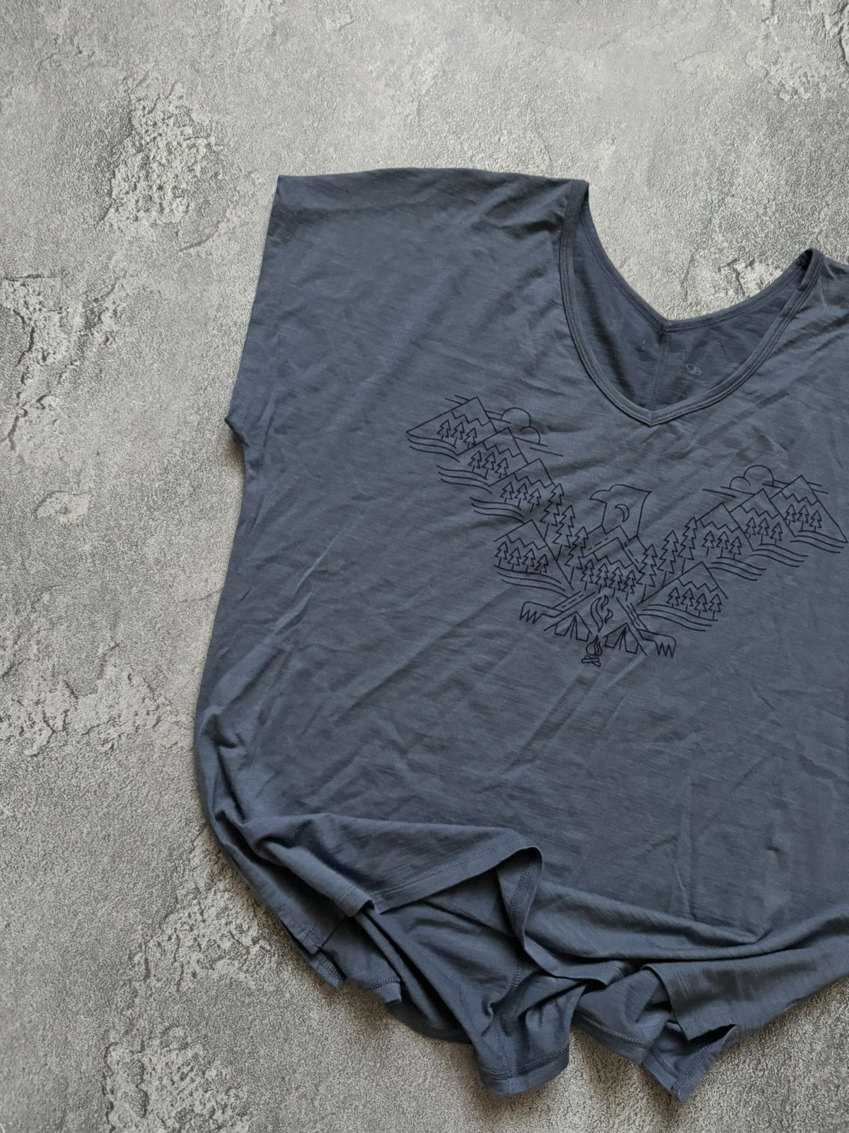 Icebreaker Icebreaker XL Wmns big logo tee T-shirt blouse tank merino Size XL / US 12-14 / IT 48-50 - 2 Thumbnail