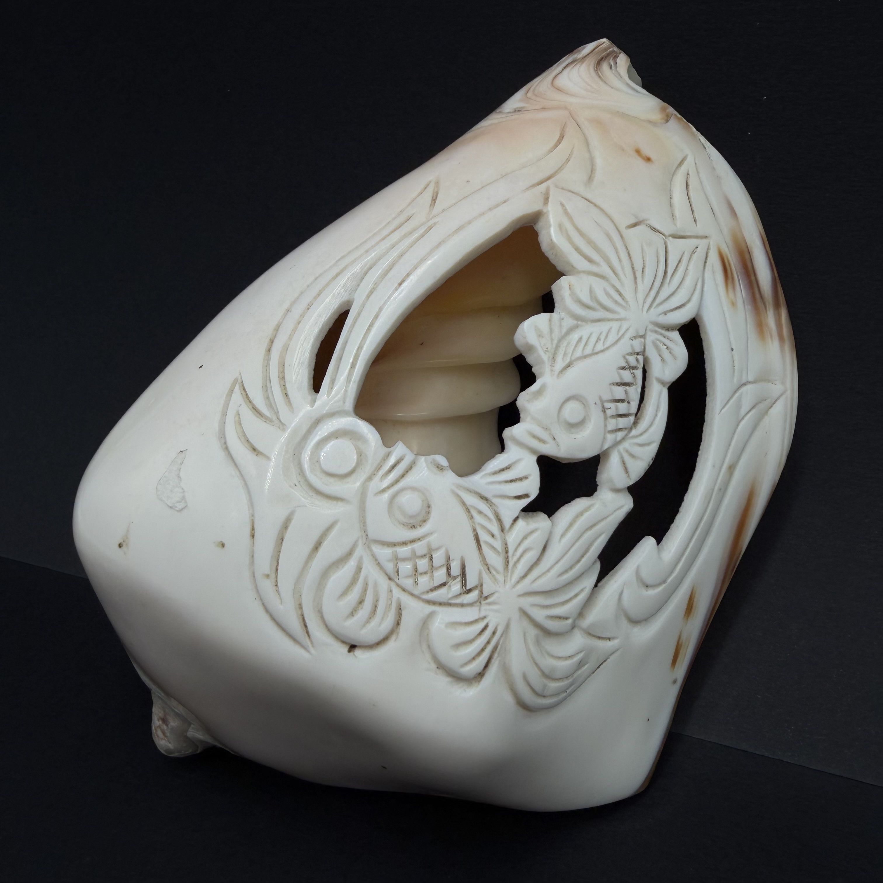 Vintage Vintage Hand Carved Conch Shell Fish Decor Natural Sea Shell Size ONE SIZE - 3 Thumbnail