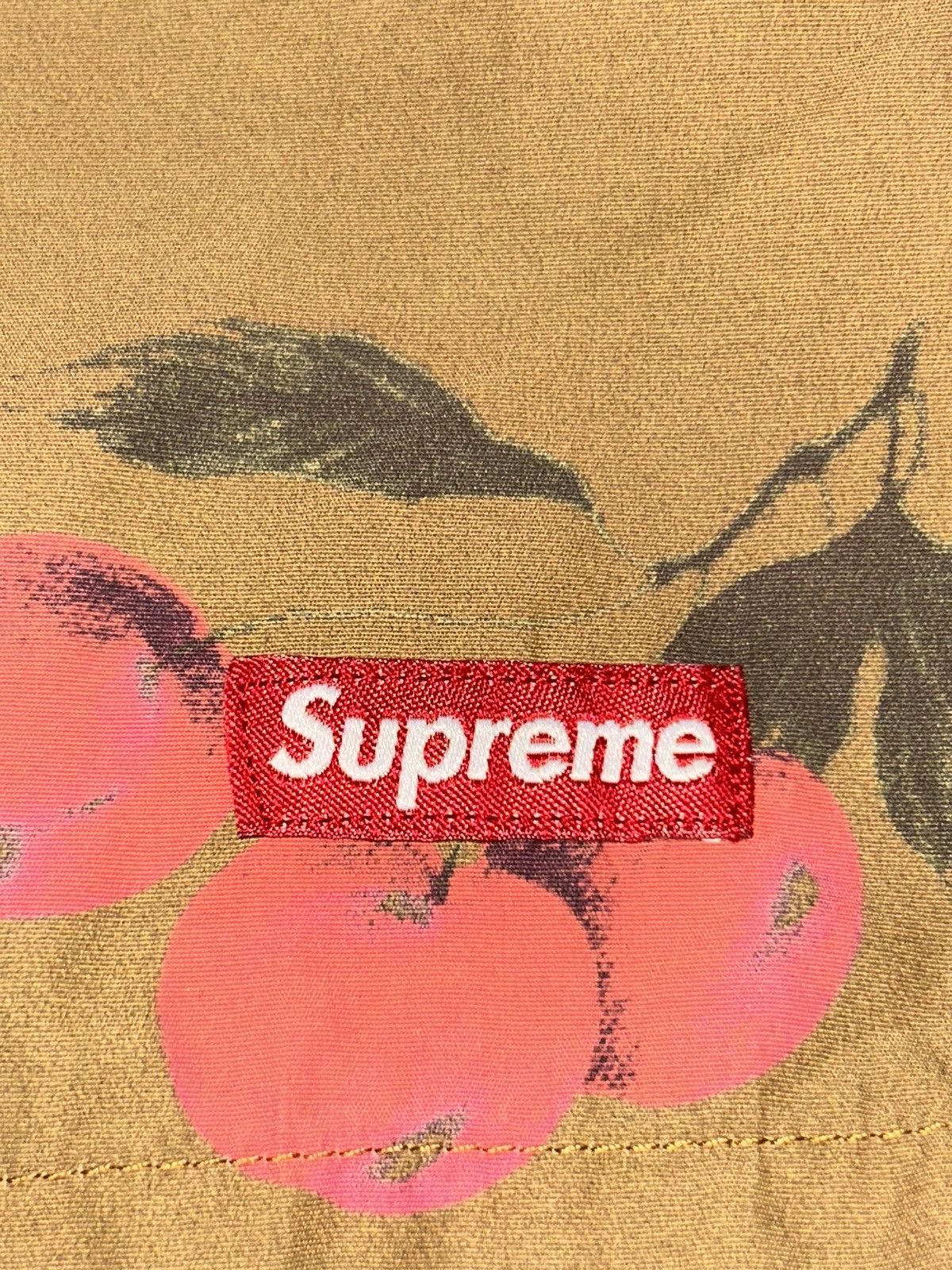 Supreme Supreme Nylon Water Short Brown Cherry SS19 size Medium Size US 34 / EU 50 - 3 Thumbnail