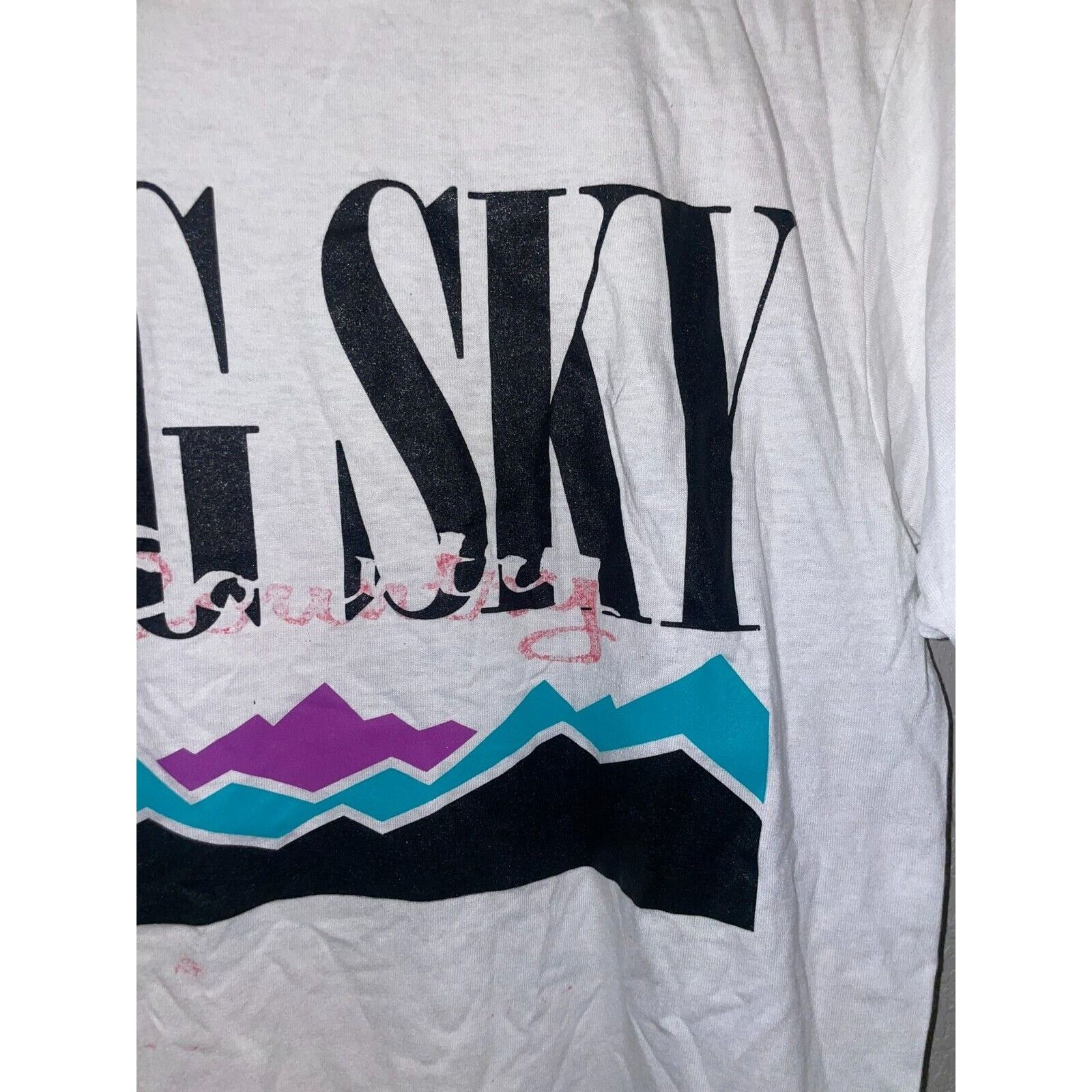 Jerzees Vintage Big Sky Shirt Badlands Buffalo Tee Test Print 90s M Size US M / EU 48-50 / 2 - 4 Thumbnail