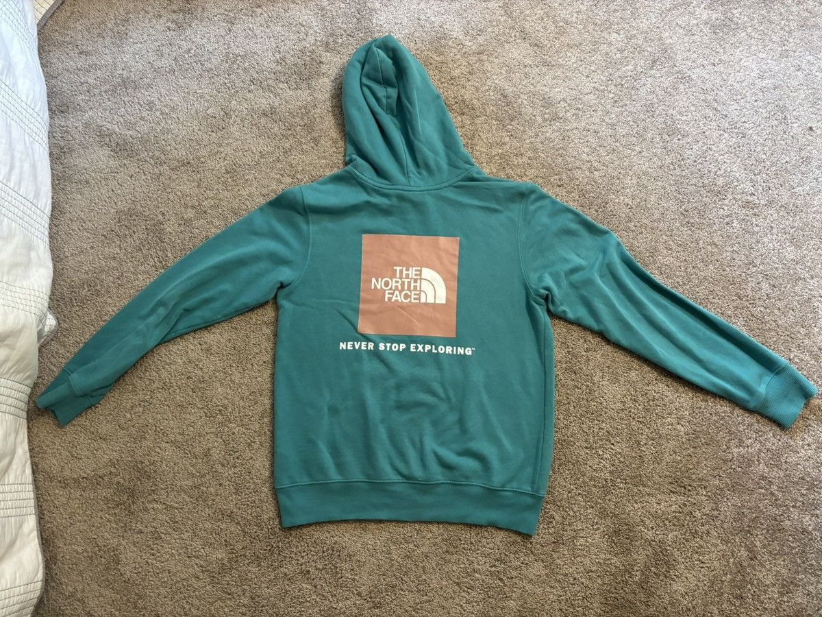 The North Face North Face Hoodie Size US M / EU 48-50 / 2 - 2 Thumbnail