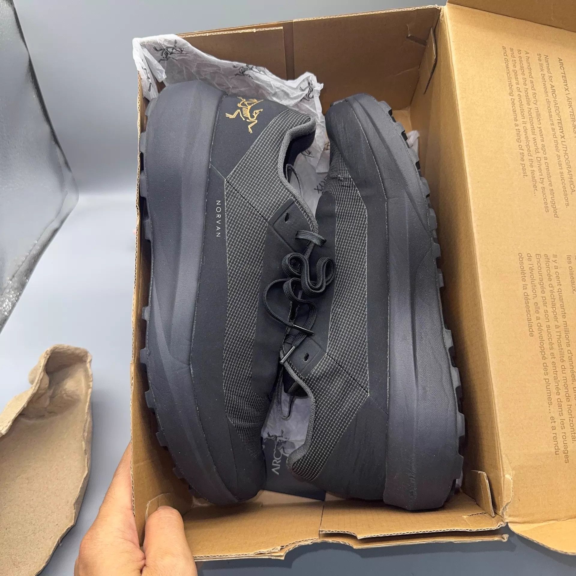 Arc'teryx Arcteryx NORVAN LD 4GTX Black 42 Shoes Size US 8.5 / EU 41-42 - 5 Thumbnail