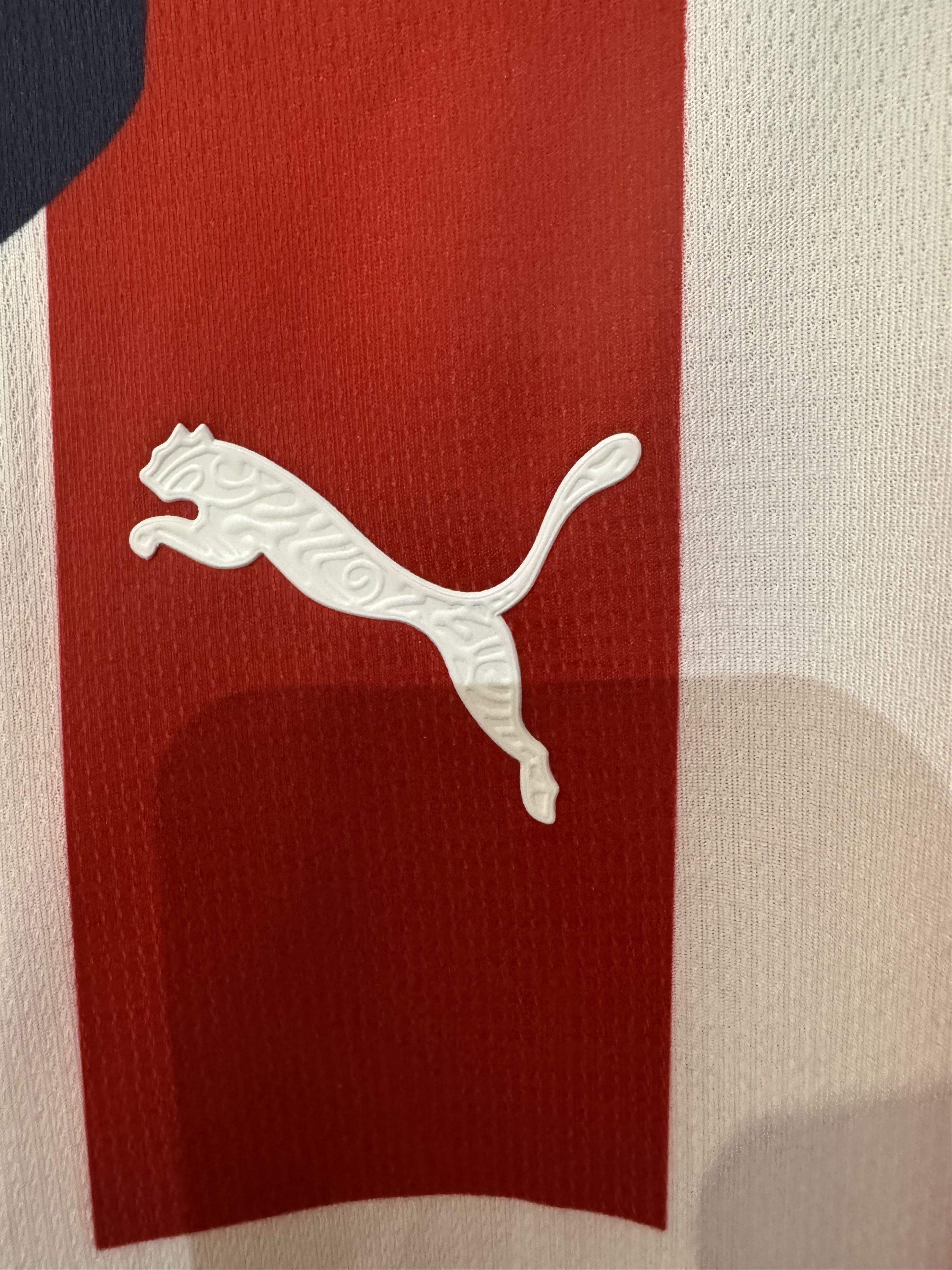 Other Guadalajara FC Chivas 2025 Home Jersey Men's NWT Size US M / EU 48-50 / 2 - 4 Thumbnail