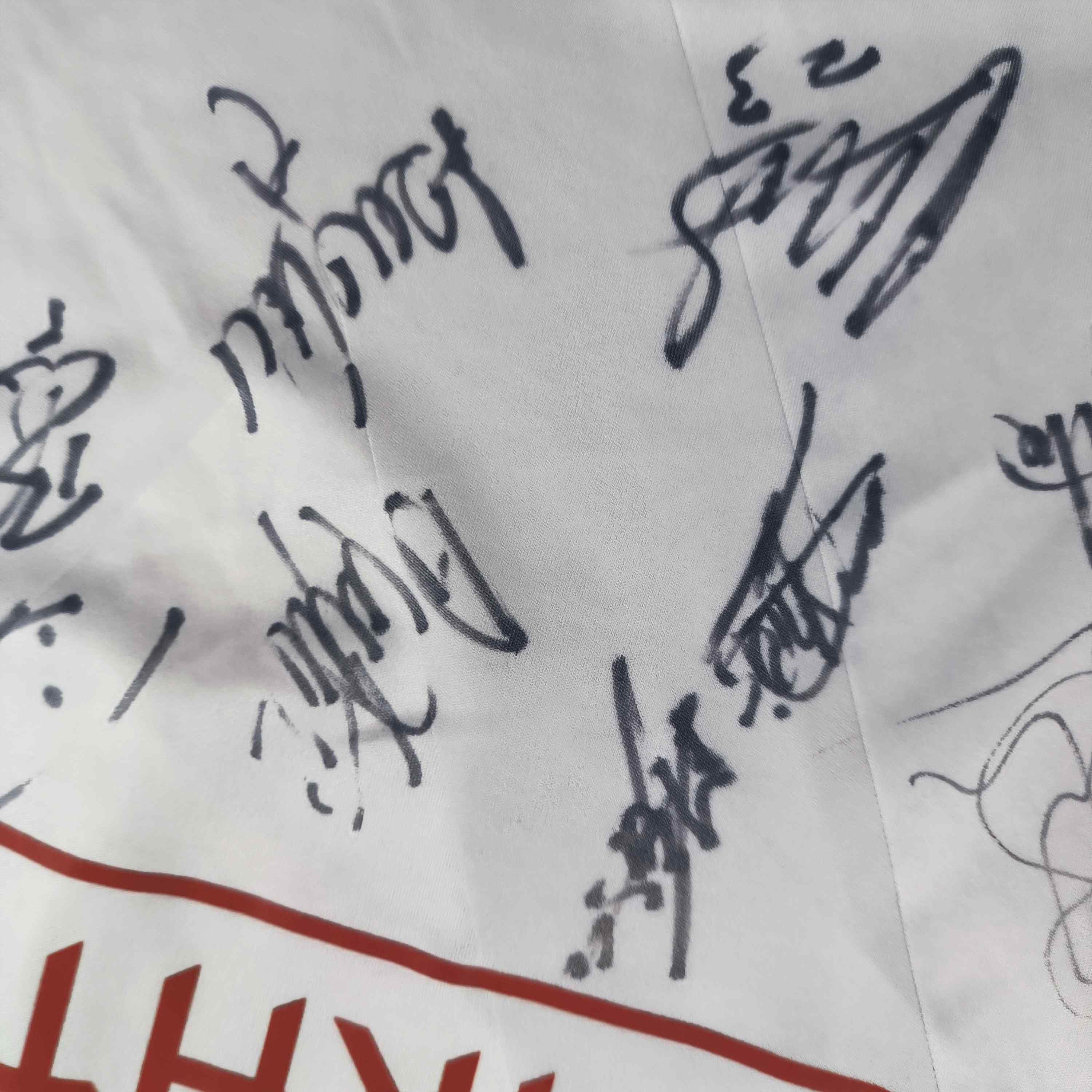 Adidas TEAM SIGNED Fulham 2013-14 Adidas home football jersey sz L Size US L / EU 52-54 / 3 - 5 Thumbnail