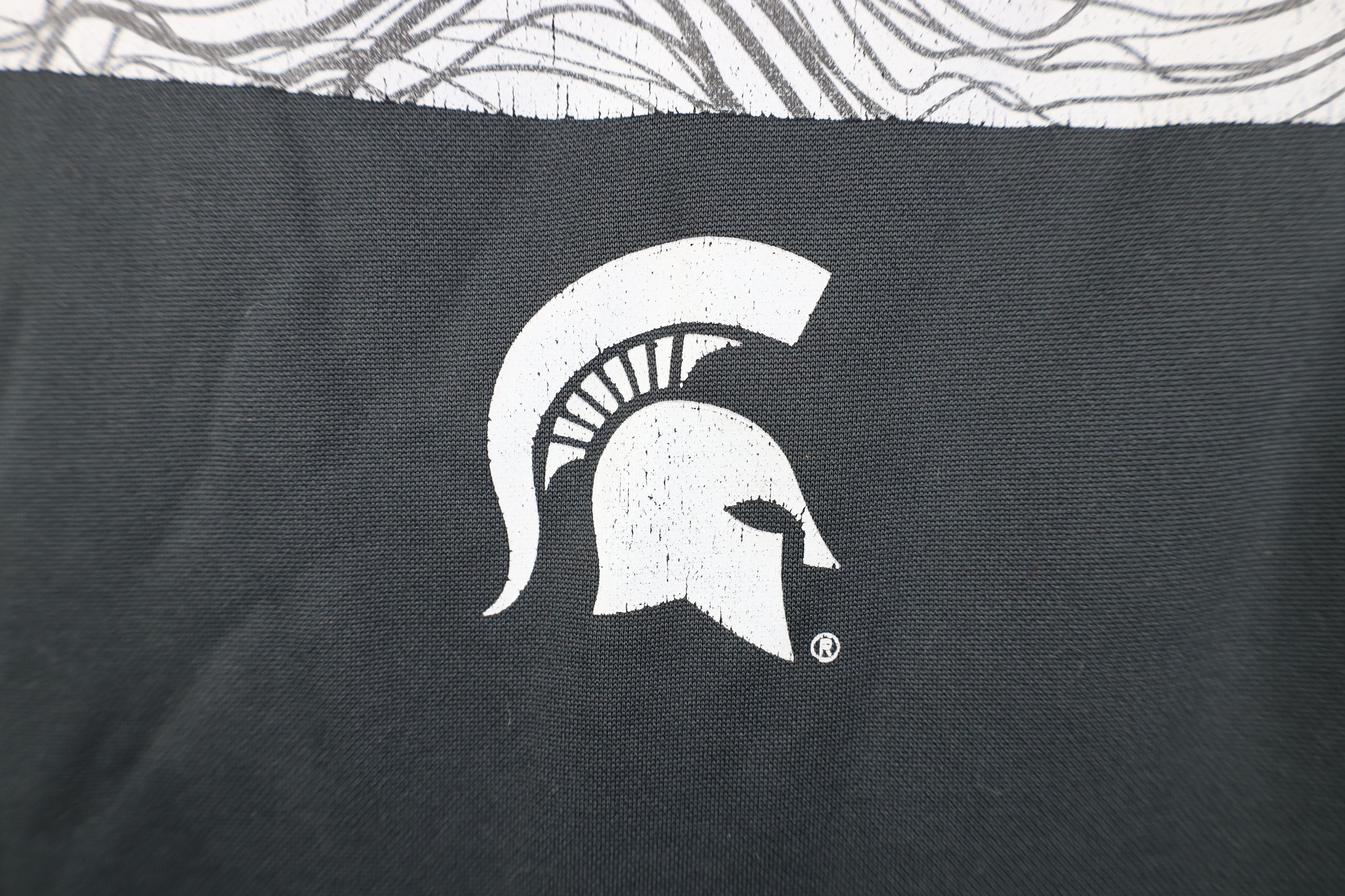 Nike Nike Spell Out Michigan State University Hoodie Sweatshirt Size US S / EU 44-46 / 1 - 5 Thumbnail