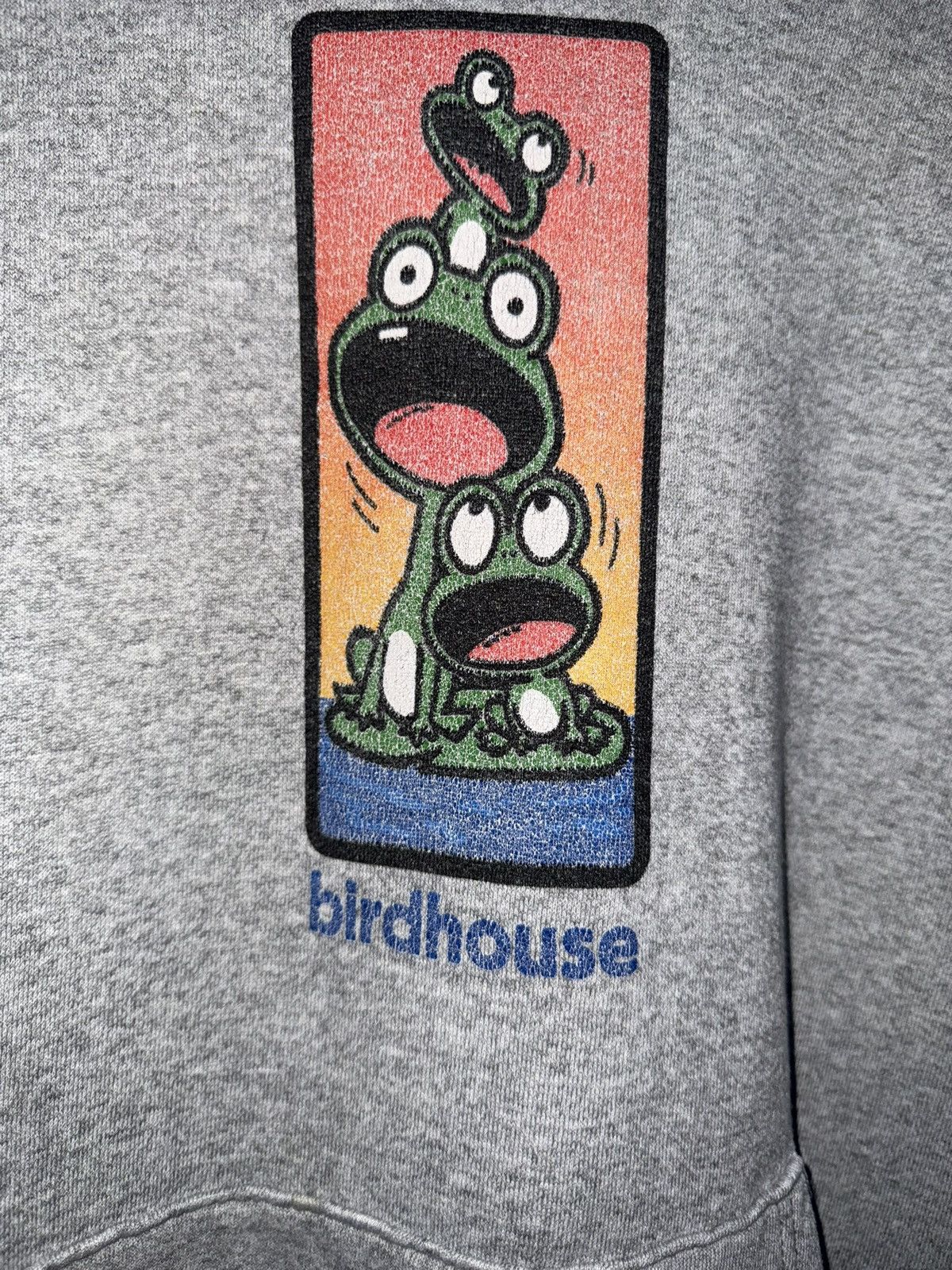 Tony Hawk Vintage 90s Birdhouse Willy Santos Frogs Hoodie Large Rare Size US L / EU 52-54 / 3 - 6 Thumbnail