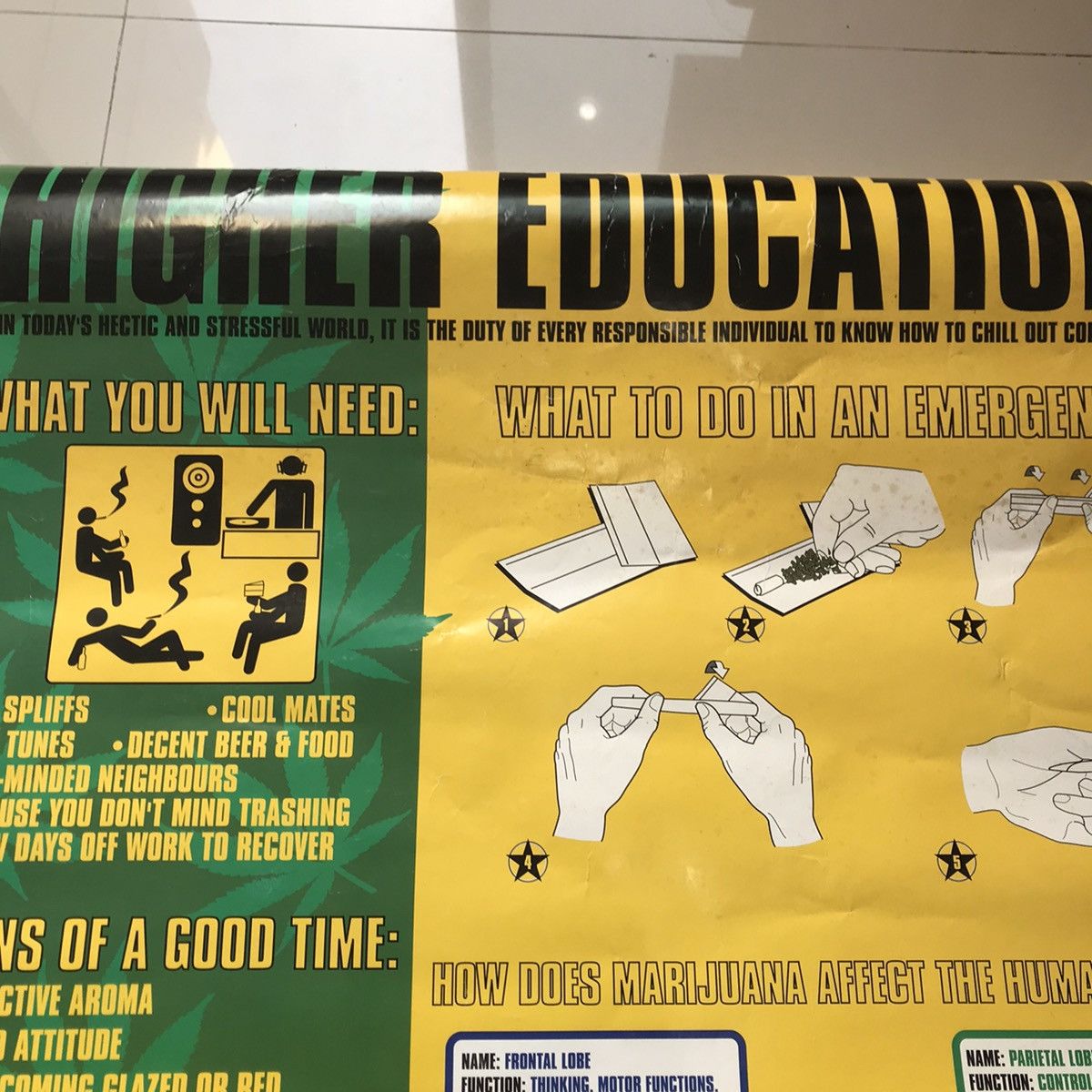 Hoodlamb × Hysteric Glamour Poster High Education Pot Weed Cannabis Marijuana made in Uk Size ONE SIZE - 5 Thumbnail