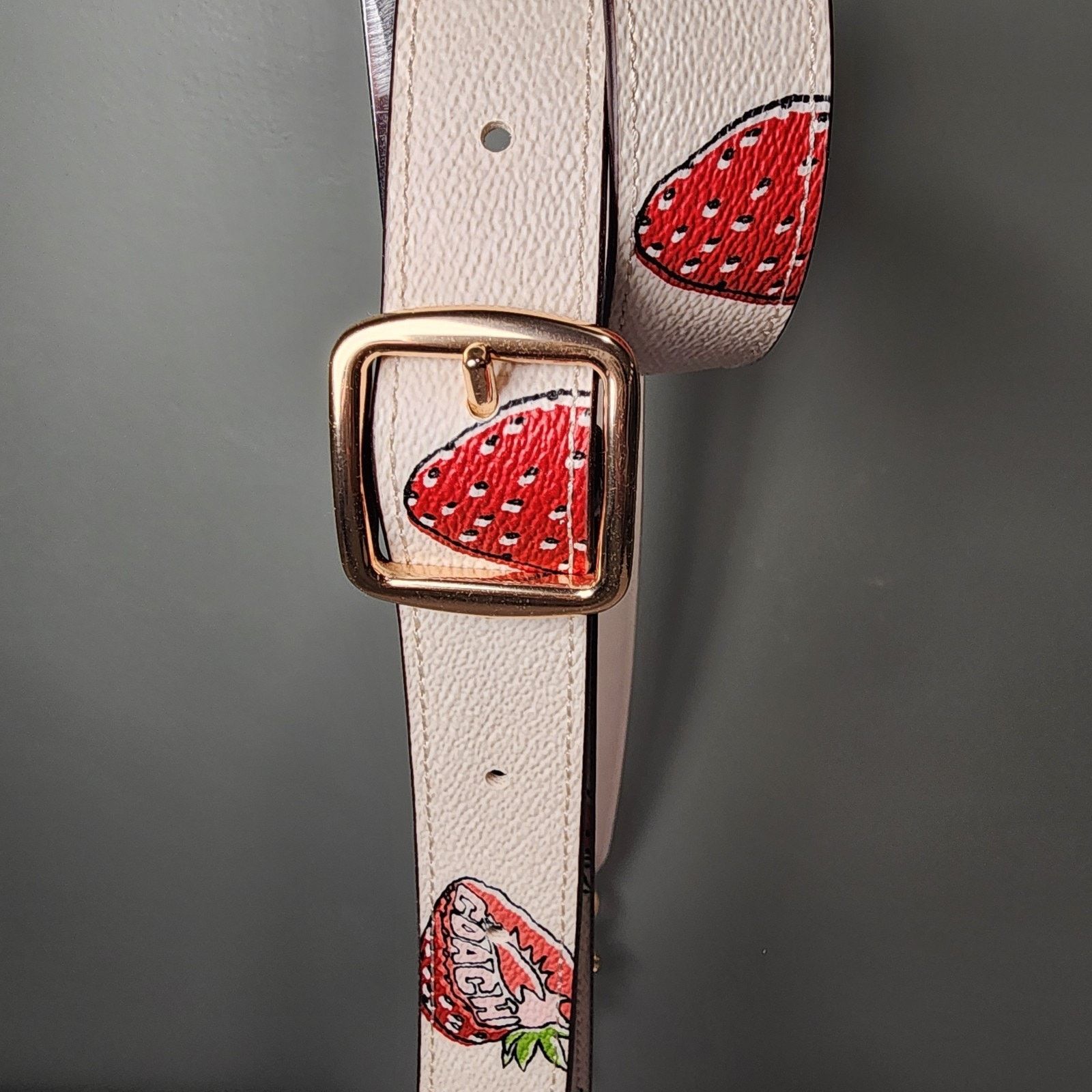 Coach Coach CAP17 Replacement Novelty Bag Strap Strawberry Size ONE SIZE - 2 Thumbnail