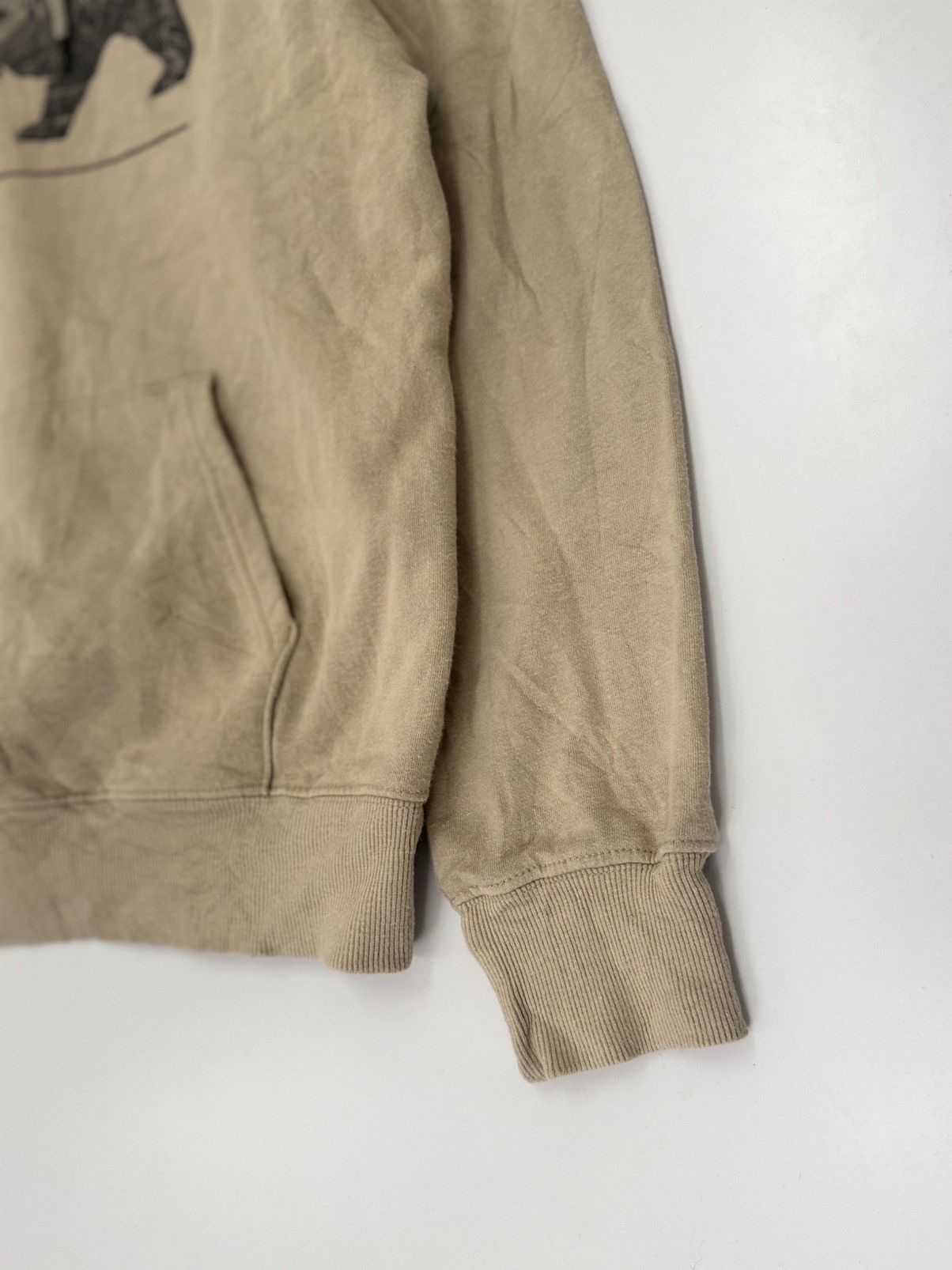 The North Face 🔥 The North Face Hoodie Bear Outdoors Hike Trek Adventure Size US M / EU 48-50 / 2 - 2 Thumbnail