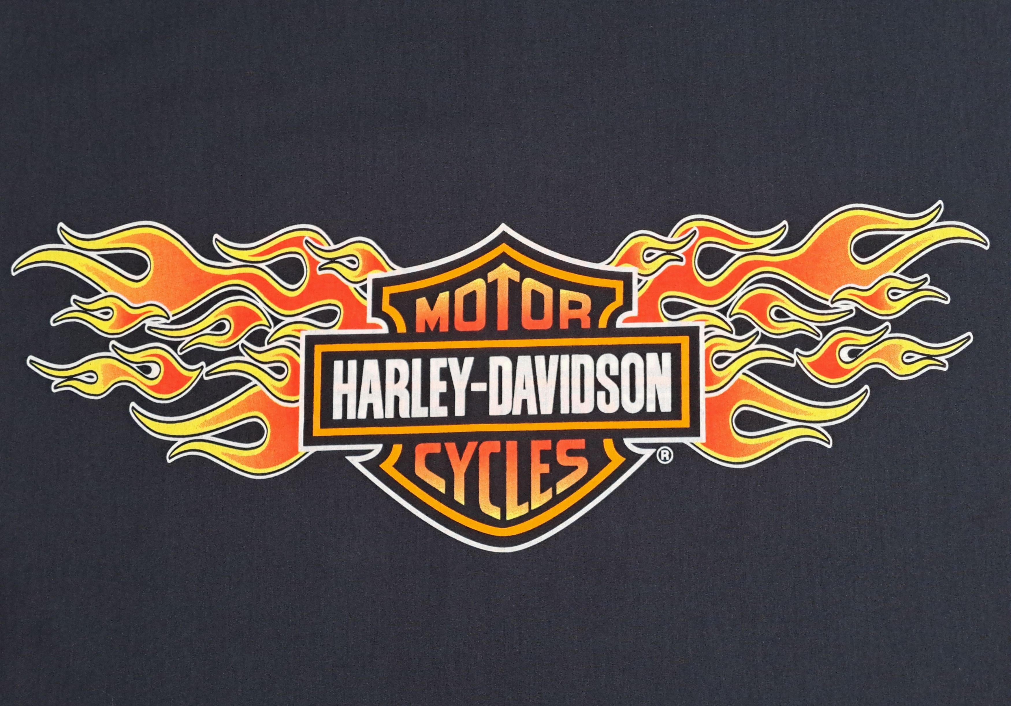 Harley Davidson Harley Davidson square cotton pillow cover. Size ONE SIZE - 2 Thumbnail
