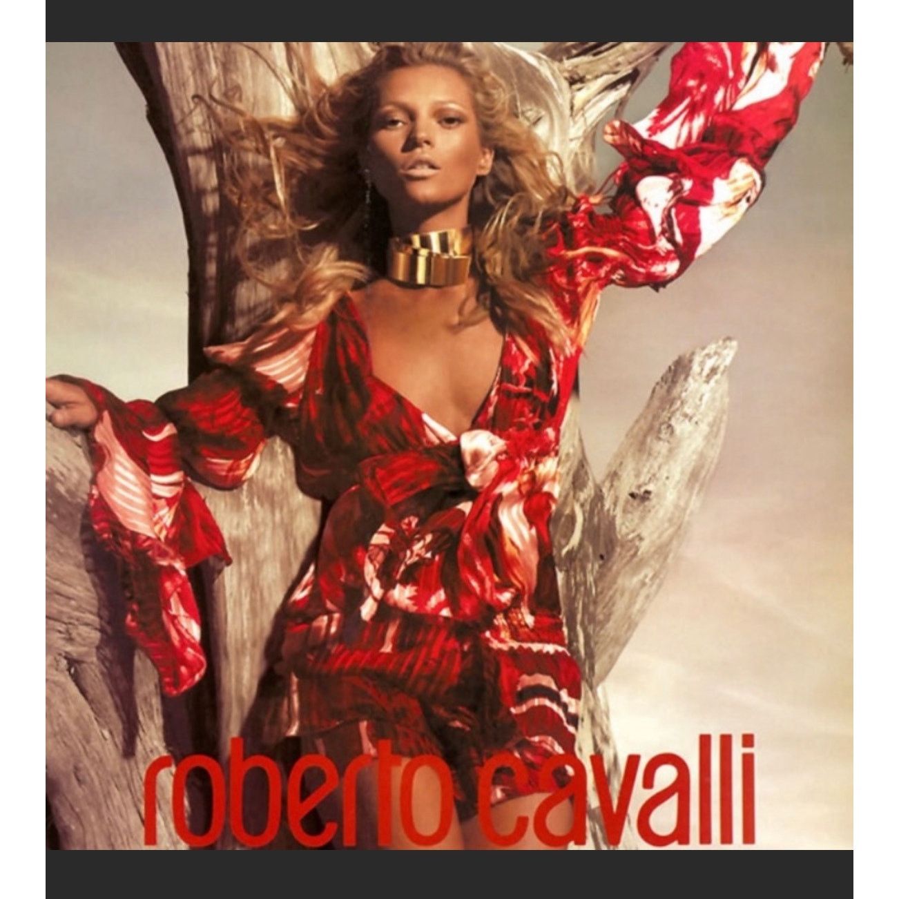 Roberto Cavalli NWT Roberto Cavalli '06 Silk red Ruffled Blouse Sz S Size S / US 4 / IT 40 - 13 Thumbnail