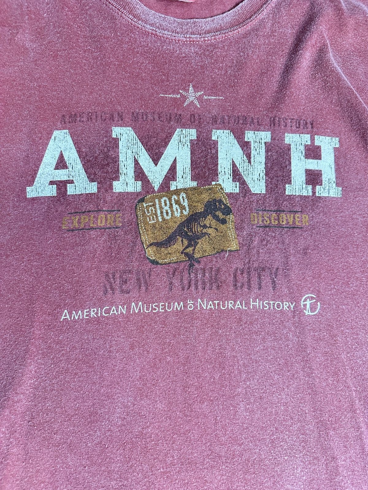 Perrin AMNH Dinosaur Graphic Tee XL Faded Red Museum Shirt Size US XL / EU 56 / 4 - 2 Thumbnail