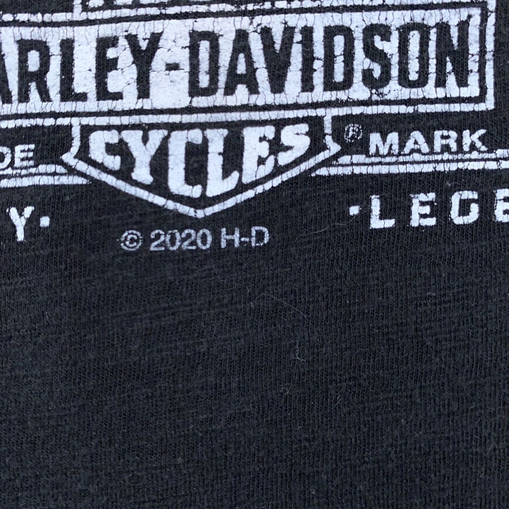 Harley Davidson Harley-Davidson Shirt Mens Large Motorcycle Graphic Tee Legendary Power 2020 Size US L / EU 52-54 / 3 - 3 Thumbnail