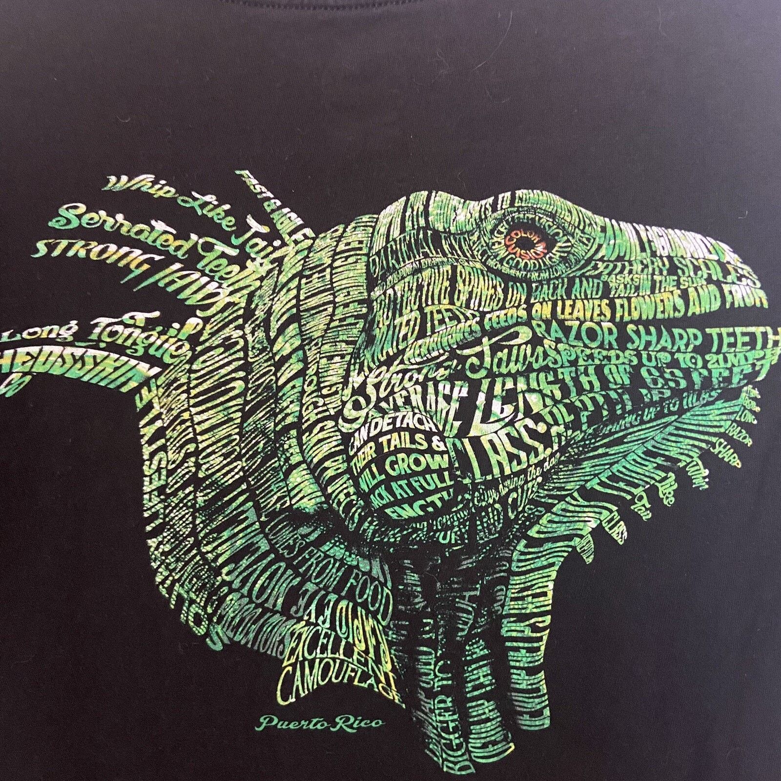 Other Puerto Rico T-Shirt Black Souvenir Iguana Lizard Reptile Size US L / EU 52-54 / 3 - 5 Thumbnail