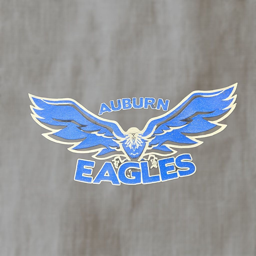 Vintage Auburn Eagles School Jacket Hoodie Sweater Adult Size XL Radford Virginia VA Size US XL / EU 56 / 4 - 1 Thumbnail