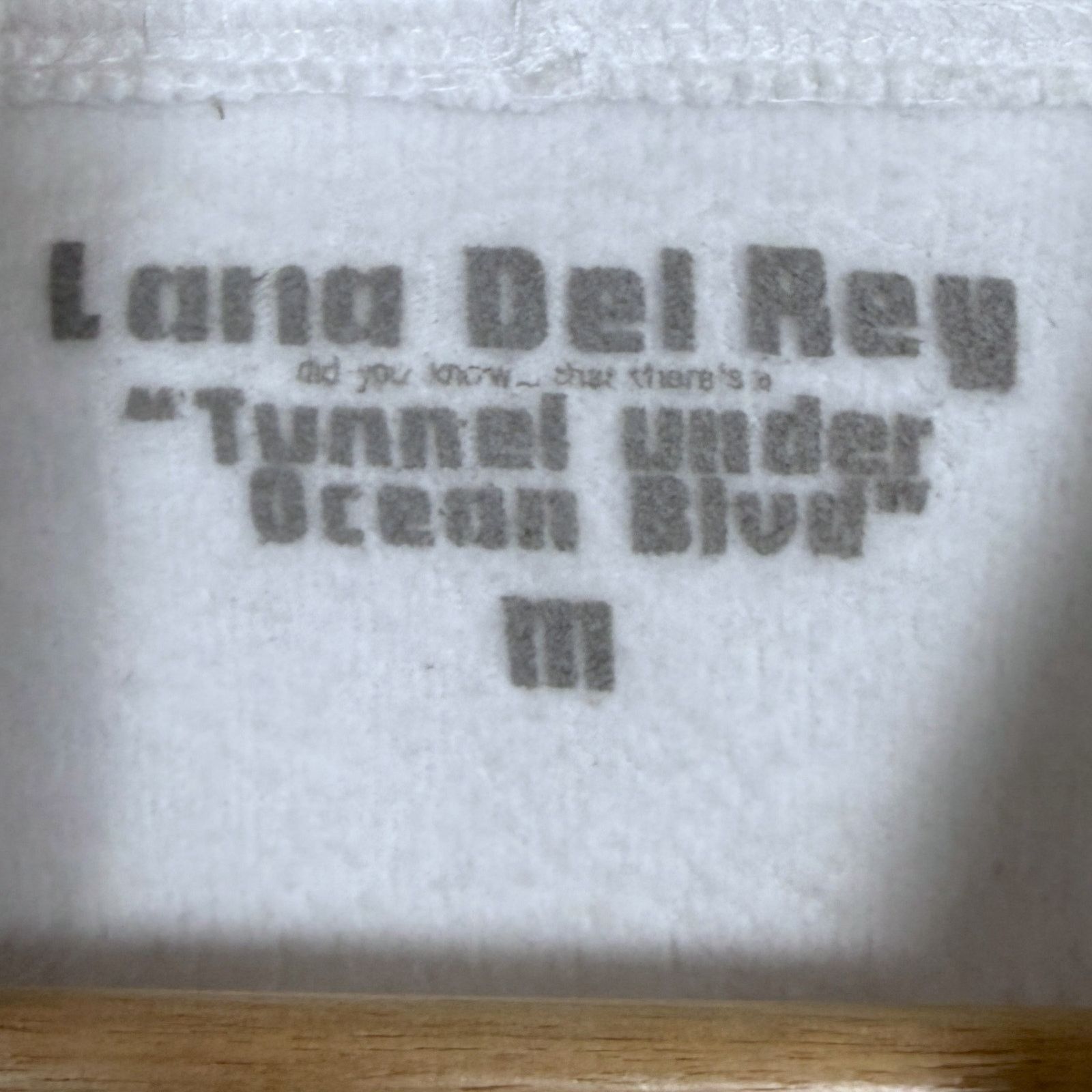 Other Lana Del Rey Tunnel Under Ocean Blvd Limited Edition Hoodie Size M / US 6-8 / IT 42-44 - 4 Thumbnail