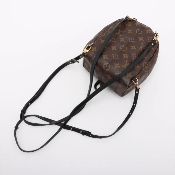 Louis Vuitton Monogram Palm Springs Mini Backpack Size ONE SIZE - 5 Thumbnail