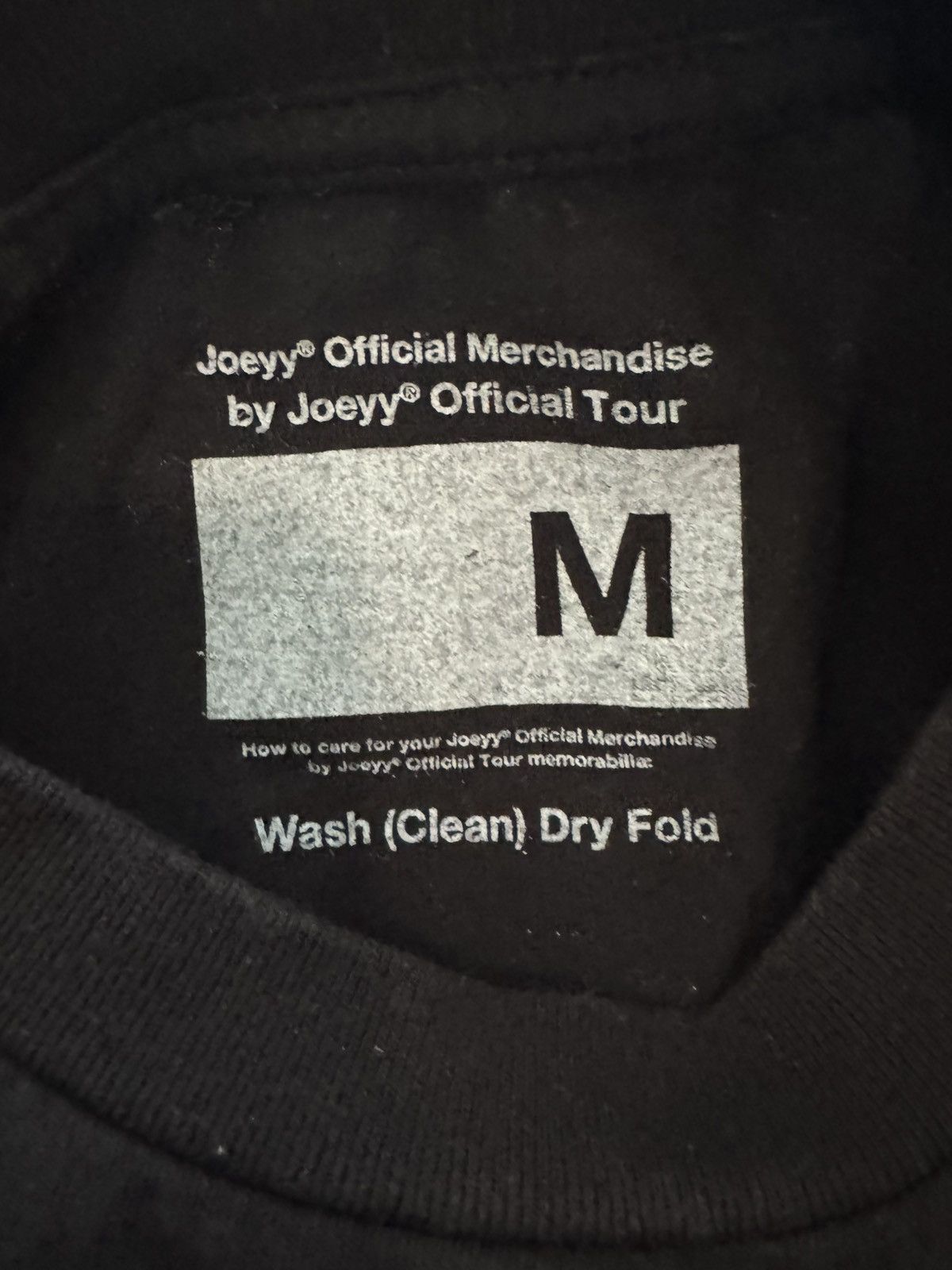 Band Tees Joeyy / Shed Theory 2023 Nod Tour shirt Size US M / EU 48-50 / 2 - 4 Thumbnail