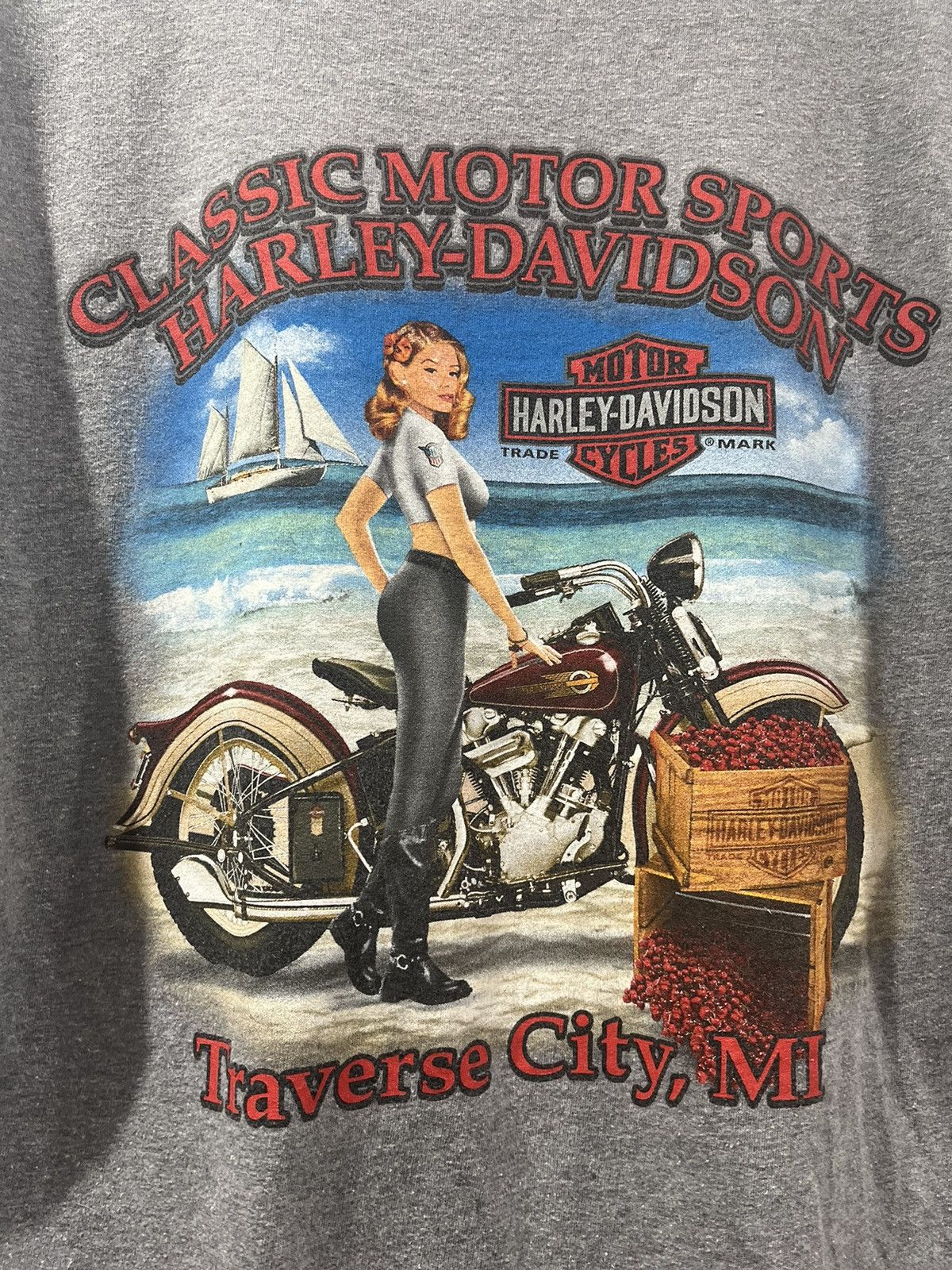 Harley Davidson Harley Davidson Vintage Traverse City Tshirt Size US XL / EU 56 / 4 - 3 Thumbnail