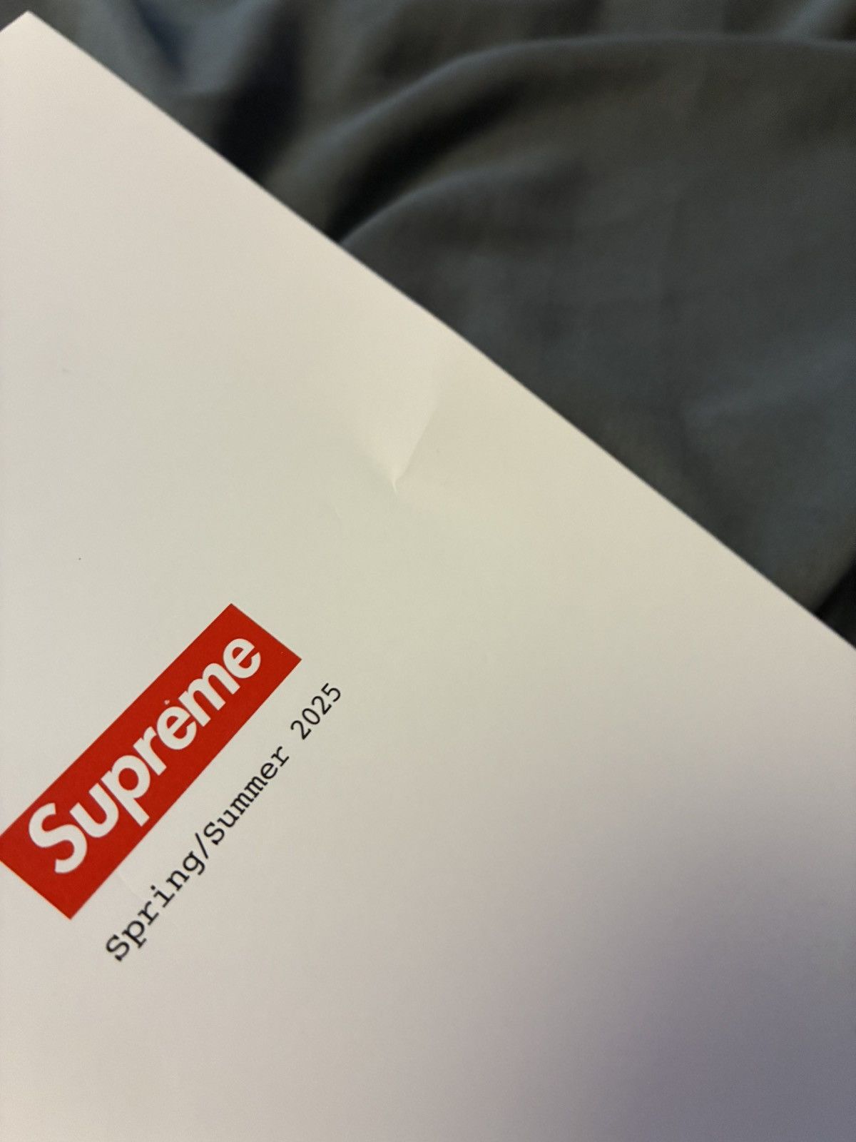 Supreme Supreme Stickers & Lookbook SS25 Size ONE SIZE - 4 Thumbnail
