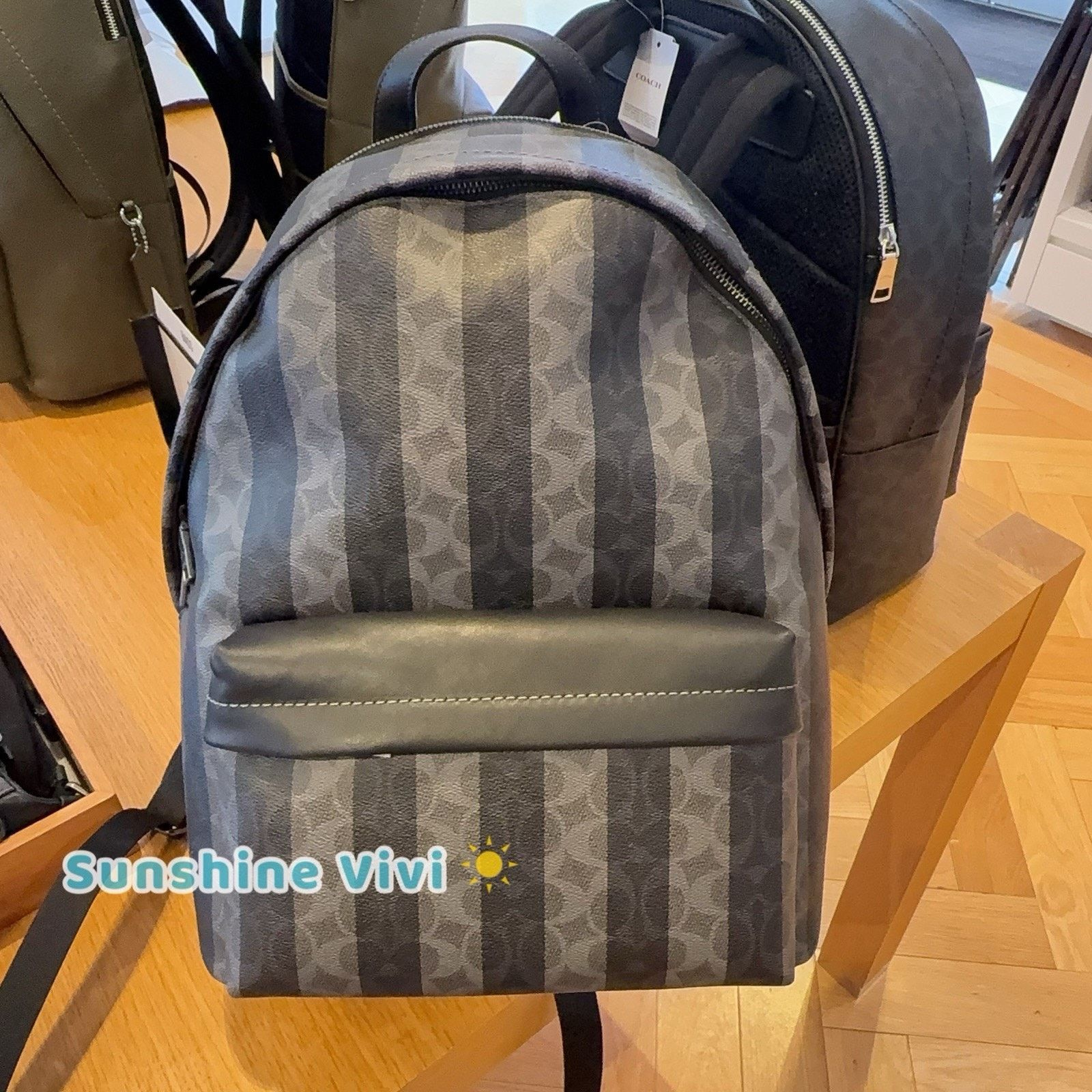 Coach NWT Coach Taylor Backpack Stripes Gunmetal/Black/Grey CDX88 Size ONE SIZE - 1 Thumbnail