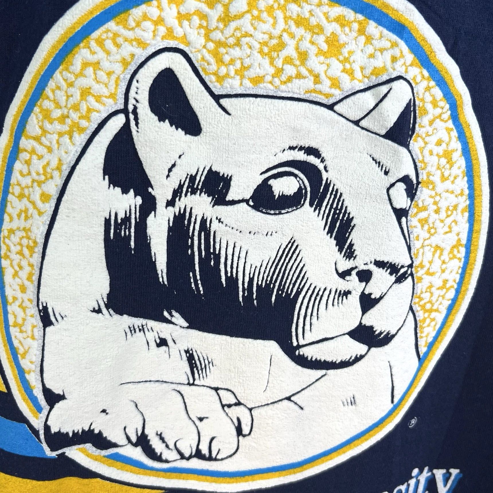 Penn VINTAGE Penn State T-shirt Nittany Lions Raised Letter Crew Neck Blue XL Men’s 90s College Football Graphic Print Short Sleeve USA Size US XL / EU 56 / 4 - 3 Thumbnail
