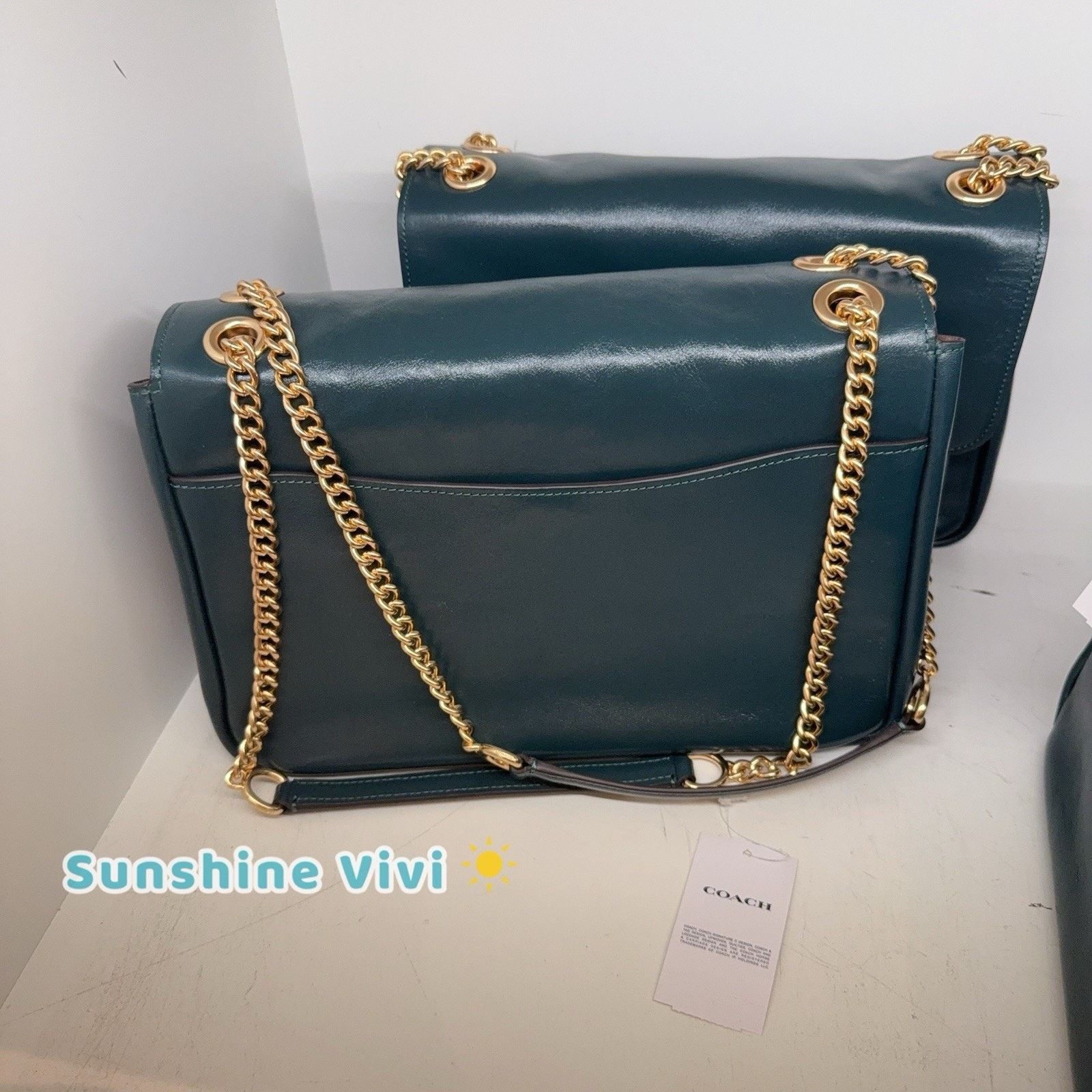 Coach NWT Coach Elodie Crossbody Bag leather CCF09 DARK TEAL Size ONE SIZE - 5 Thumbnail
