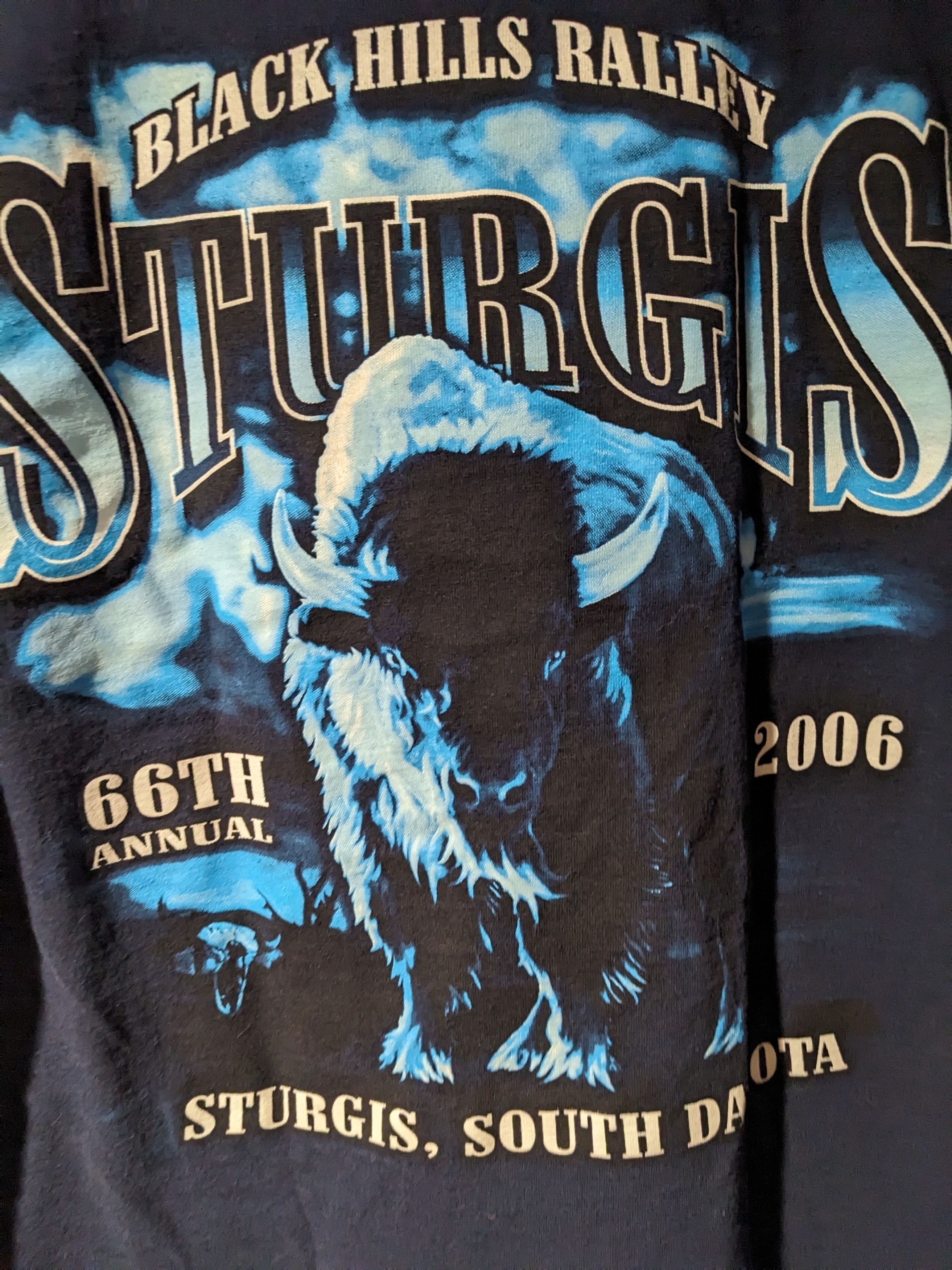 Harley Davidson × Vintage Vintage 2006 Sturgis Black Hills Harley Davidson T-Shirt Size US M / EU 48-50 / 2 - 2 Thumbnail