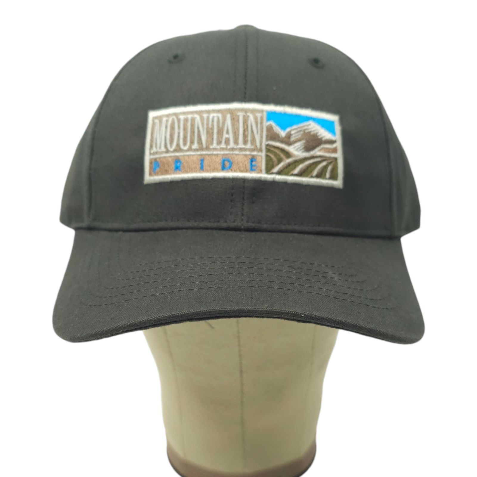 Richardson Mountain Pride Adjustable Strapback Cap Trucker Baseball Hat Size ONE SIZE - 9 Thumbnail