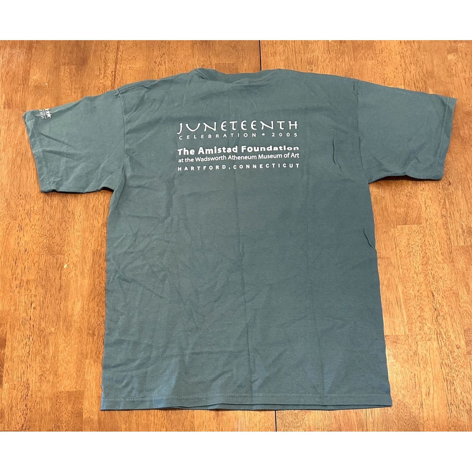 Gildan VINTAGE Juneteenth 2005 T Shirt Large Amistad Foundation Community And Culture Shirt Mens Large Green T-Shirt Size US L / EU 52-54 / 3 - 2 Thumbnail