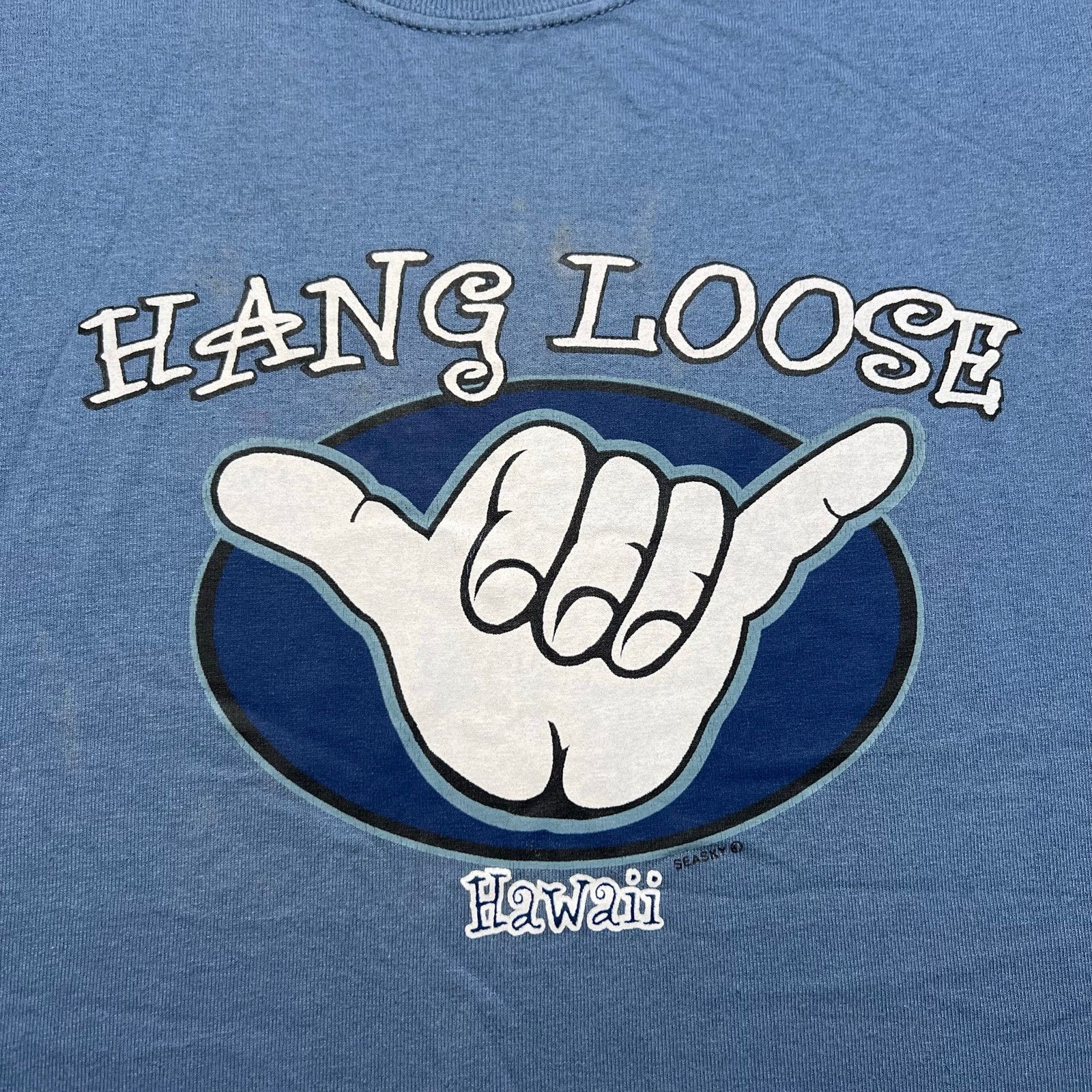 Gildan Hang Loose Hawaii Shaka Hand T Shirt Small Y2K Surf Skater Size US S / EU 44-46 / 1 - 2 Thumbnail