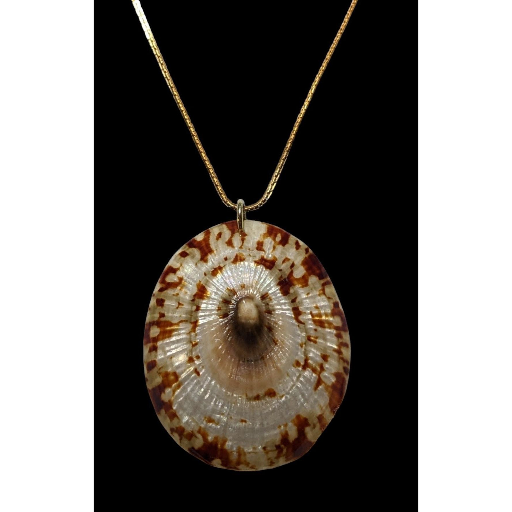 Other Limpet Shell Pendant Necklace Size ONE SIZE - 2 Thumbnail