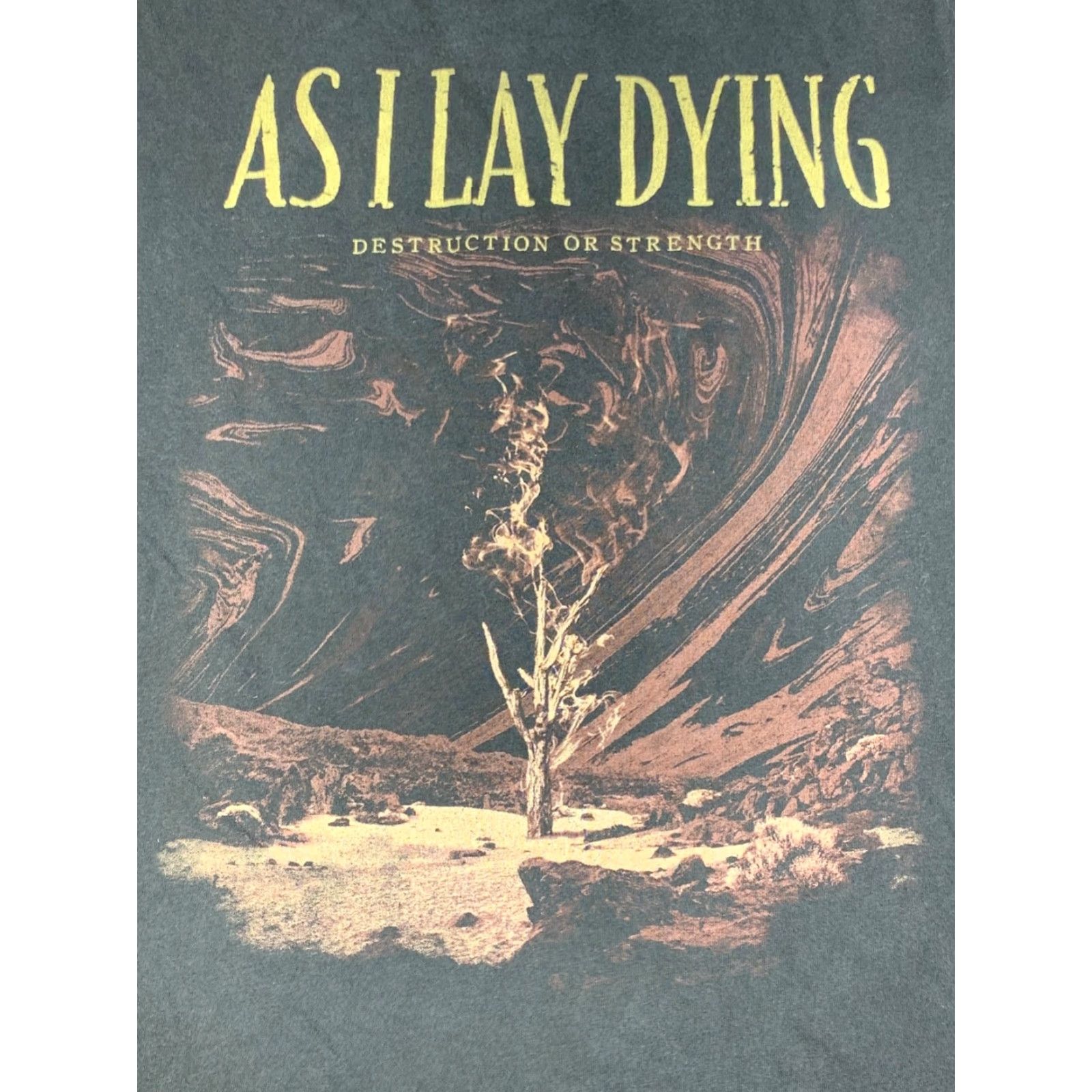 Silas VINTAGE As I Lay Down Destruction or Strength Shirt Mens L Black Faded Rock Band 12448 Size US L / EU 52-54 / 3 - 3 Thumbnail