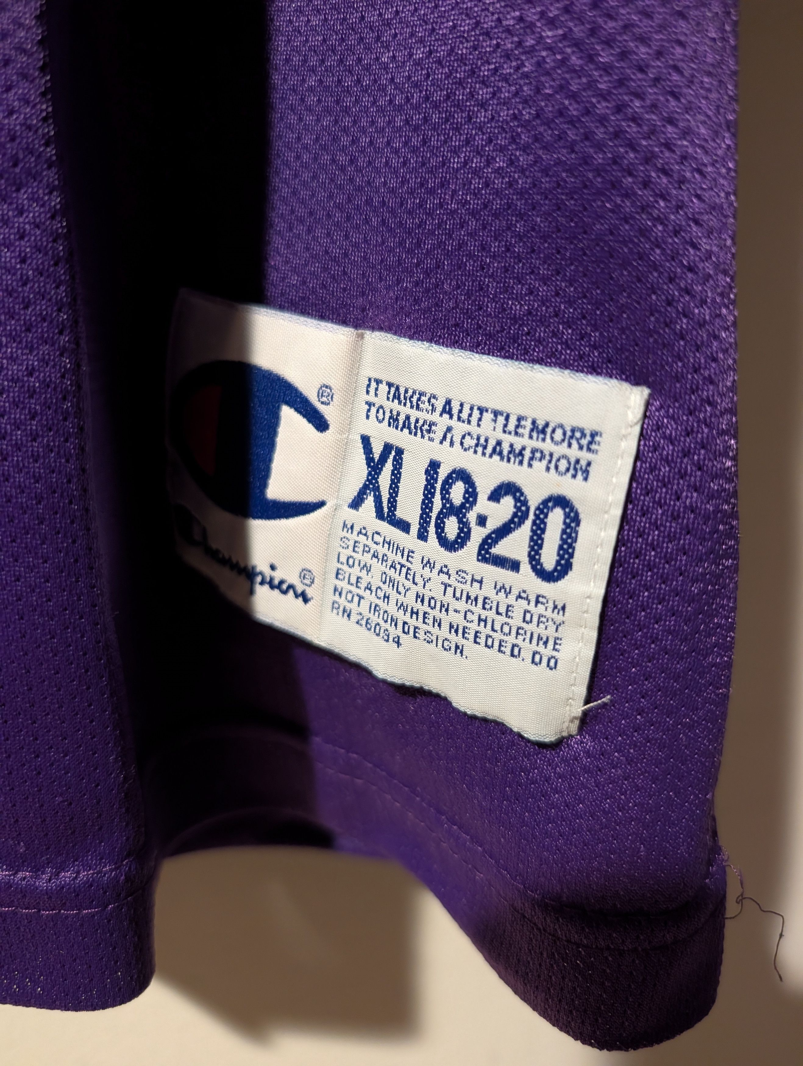 NBA Vintage Champion Toronto Raptors Jersey Youth XL Stoudamire Size US XL / EU 56 / 4 - 4 Thumbnail