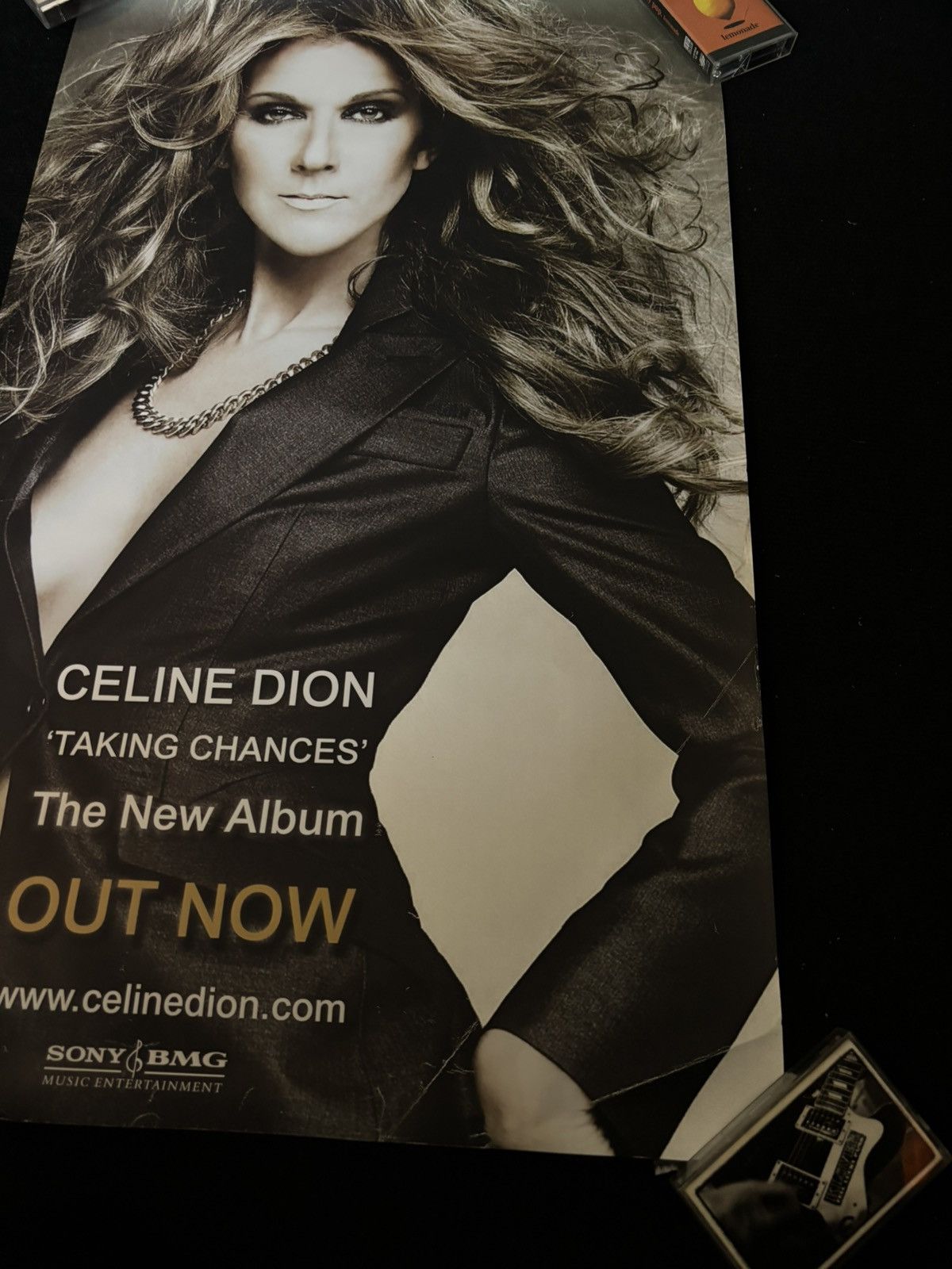 Designer × Vintage Celine Dion Taking Chance Promo Poster Size ONE SIZE - 3 Thumbnail