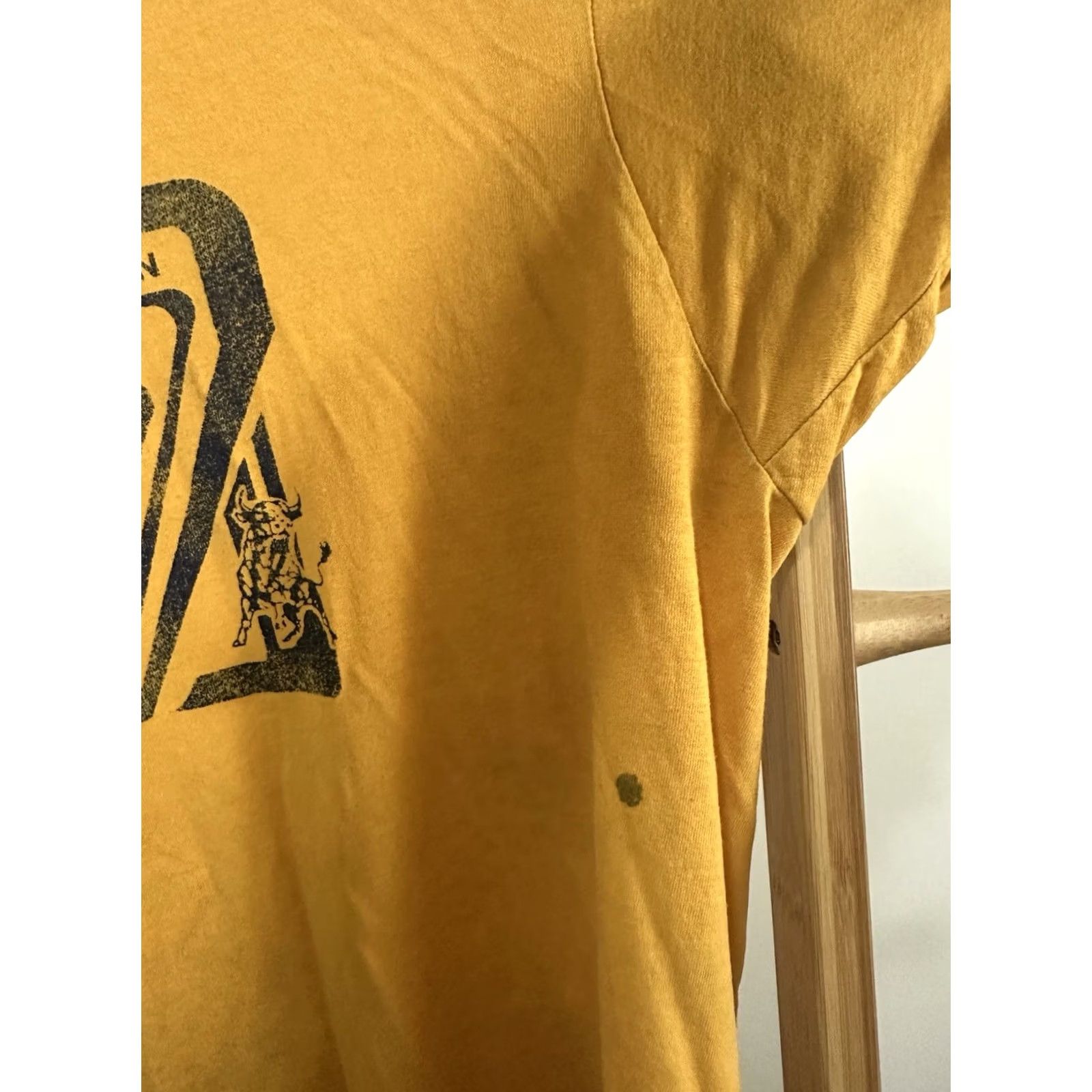 Vintage VTG 80s JCSU Golden Bulls HBCU T-Shirt XL Yellow Screen Stars VTG 80s Johnson C Smith University JCSU Golden Bulls HBCU Paper Thin T-Shirt XL Size US XL / EU 56 / 4 - 7 Thumbnail