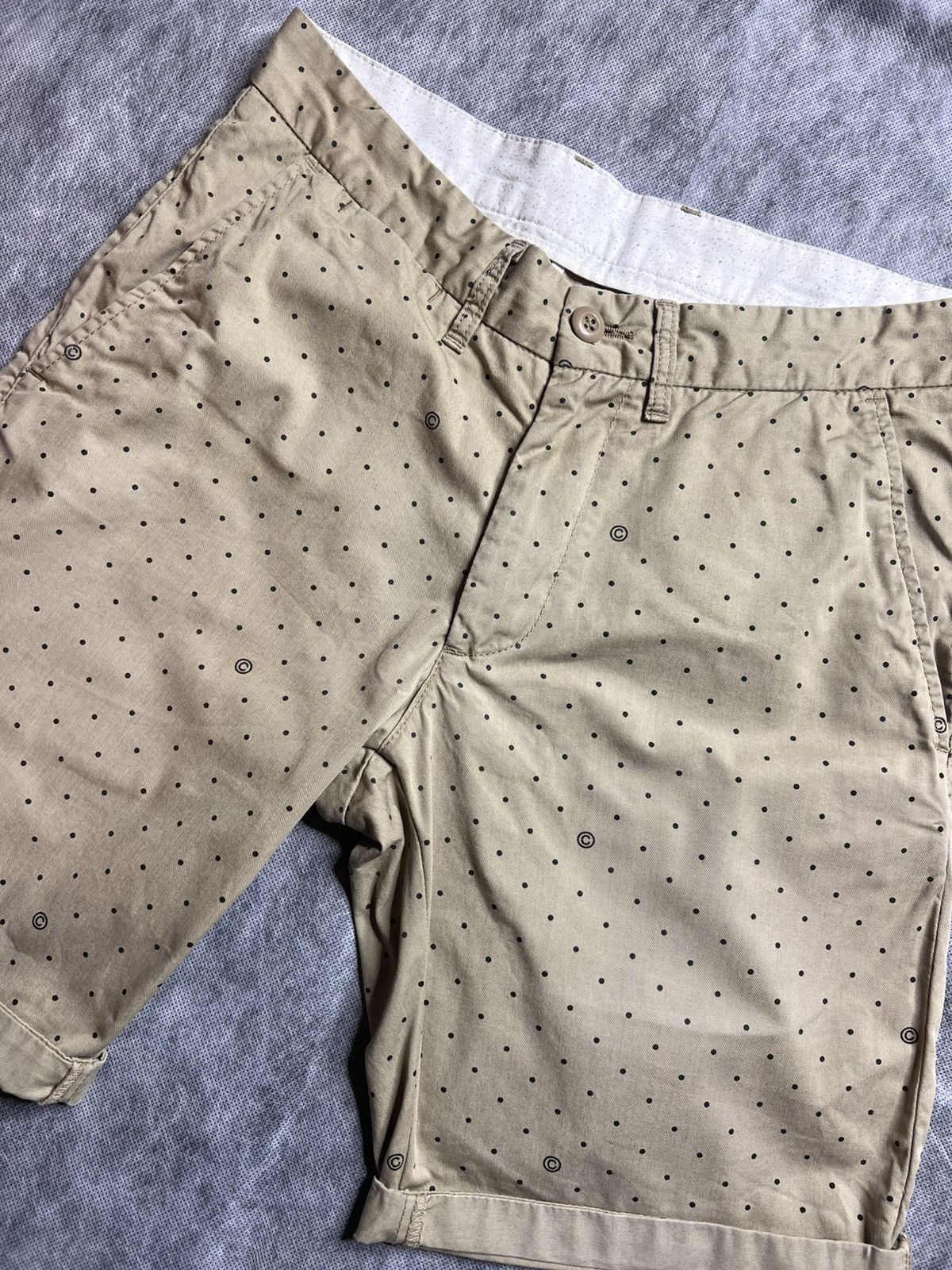 Carhartt Carhartt Johnson Shorts Size US 30 / EU 46 - 3 Thumbnail