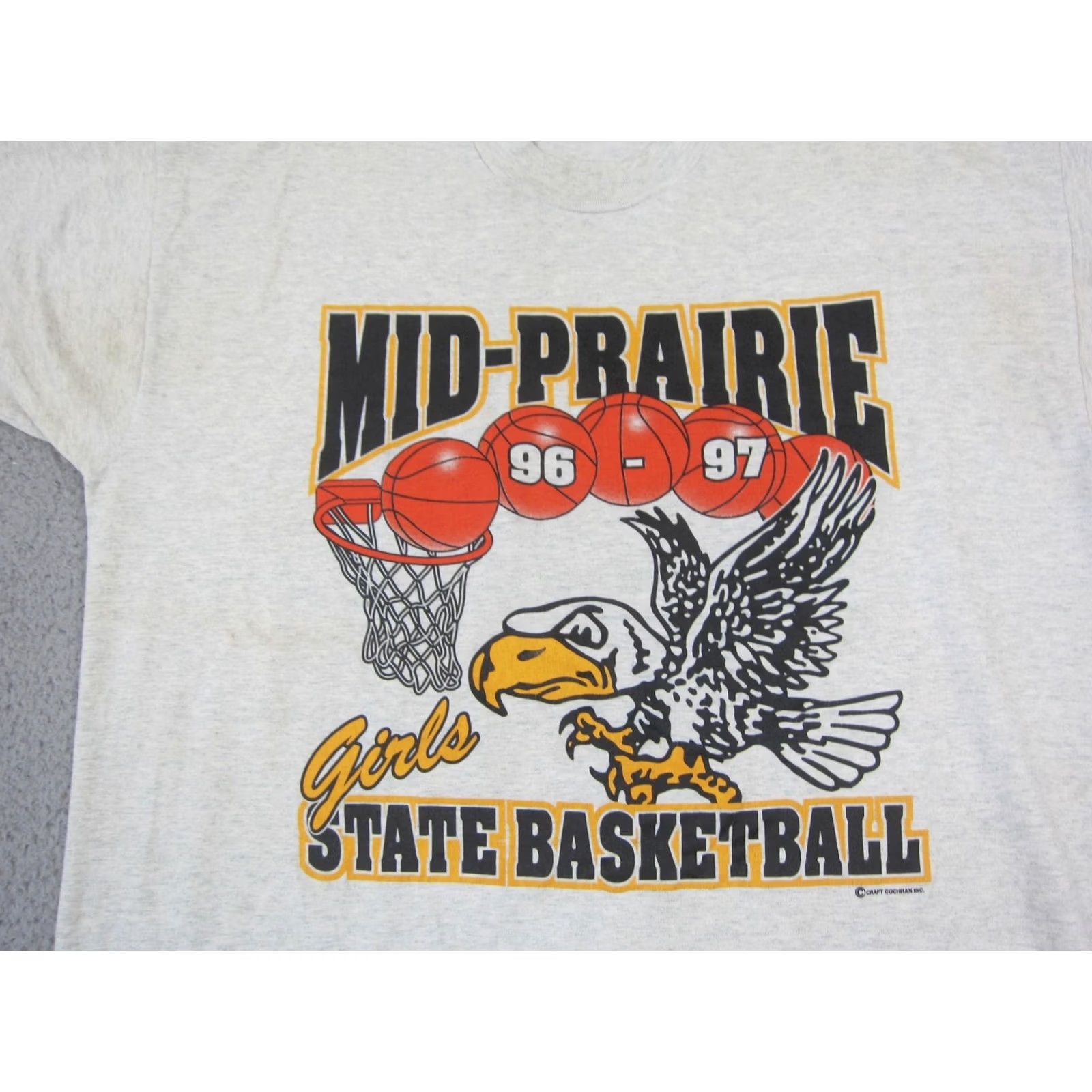 Fruit Of The Loom VINTAGE Prairie State Basketball Shirt Men XL Gray Single Stitch 90s Size US XL / EU 56 / 4 - 2 Thumbnail