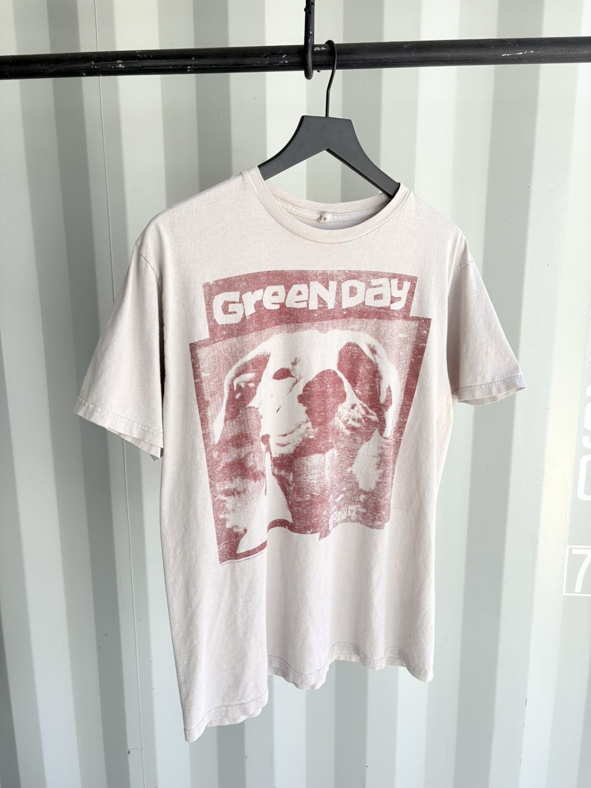 Greenday Sun Faded Thrashed Distressed ERD Grunge