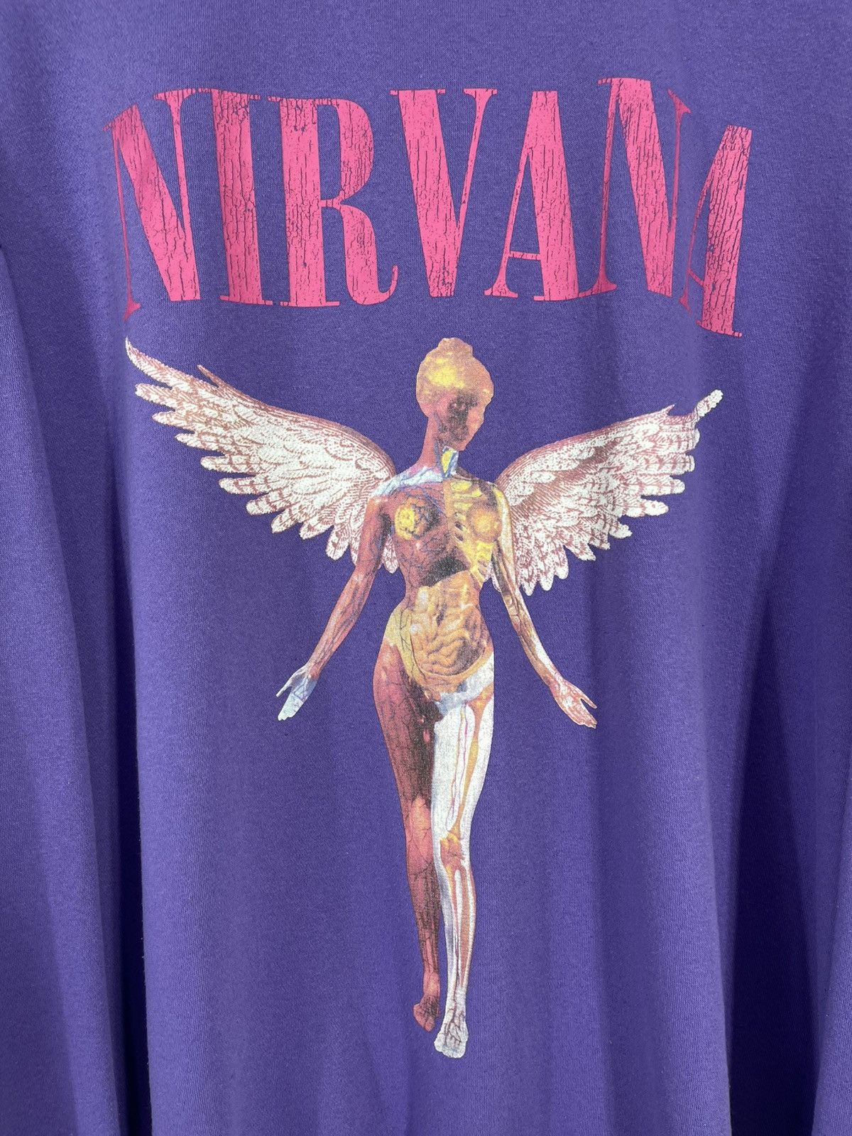 Nirvana Vintage 00's Y2k Nirvana In Utero Oversized Baggy Sweatshirt Size US M / EU 48-50 / 2 - 5 Thumbnail